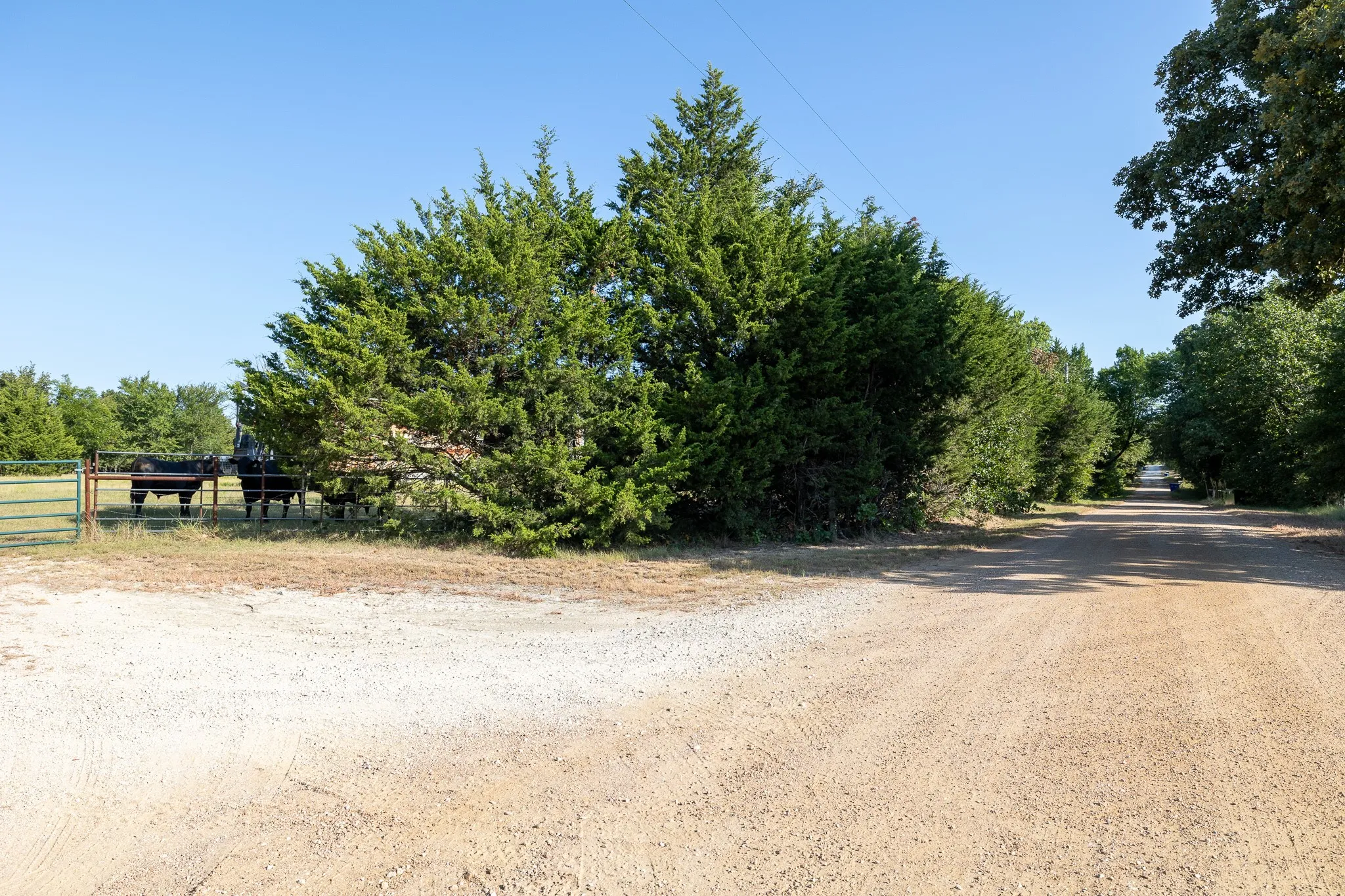 Unimproved Land For Sale in Grayson County , T.B.D. Richards Road, Sadler, Texas 76264, 0, 0, Garage spaces, 0 Sqft, built in 0, mls#21404341, Real Estate Agent in Sadler, Homes For Sale in Grayson county, Homes For Sale in Sadler, Realtor in Sadler Texas, Real Estate Brokerage Independent Realty Texas, Luminita Cordes Realtor