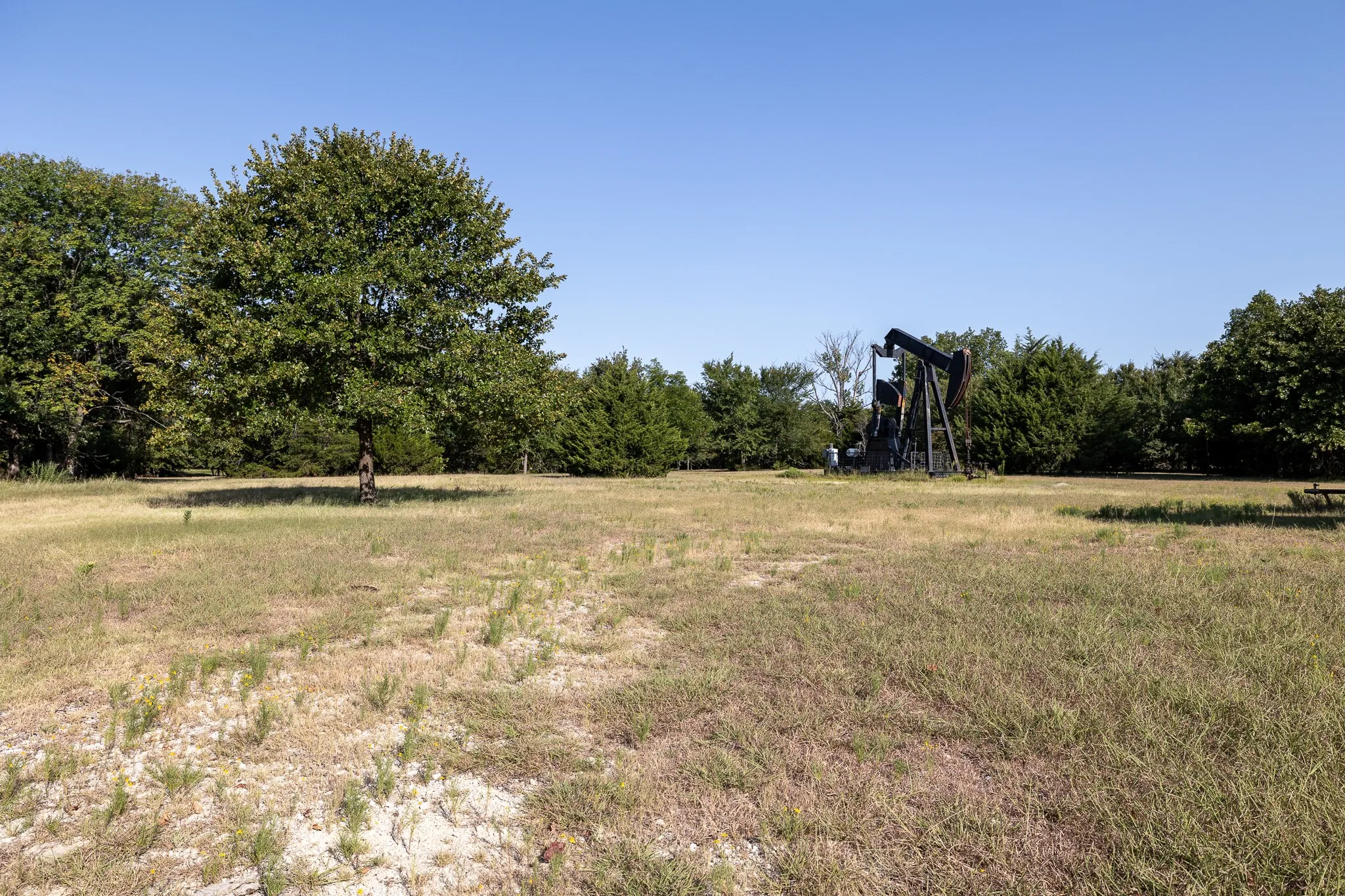 Unimproved Land For Sale in Grayson County , T.B.D. Richards Road, Sadler, Texas 76264, 0, 0, Garage spaces, 0 Sqft, built in 0, mls#21404341, Real Estate Agent in Sadler, Homes For Sale in Grayson county, Homes For Sale in Sadler, Realtor in Sadler Texas, Real Estate Brokerage Independent Realty Texas, Luminita Cordes Realtor