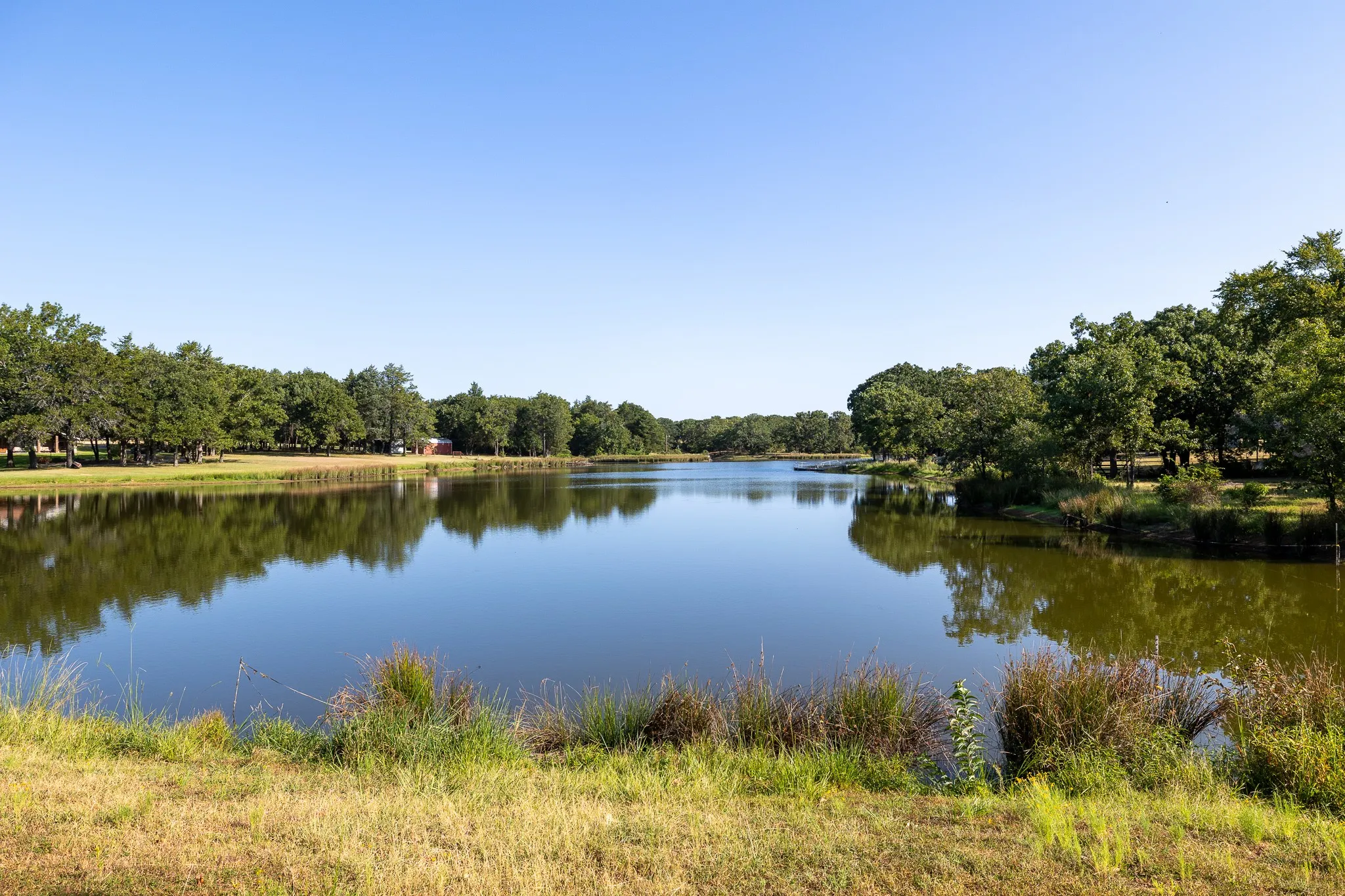 Unimproved Land For Sale in Grayson County , T.B.D. Richards Road, Sadler, Texas 76264, 0, 0, Garage spaces, 0 Sqft, built in 0, mls#21404341, Real Estate Agent in Sadler, Homes For Sale in Grayson county, Homes For Sale in Sadler, Realtor in Sadler Texas, Real Estate Brokerage Independent Realty Texas, Luminita Cordes Realtor