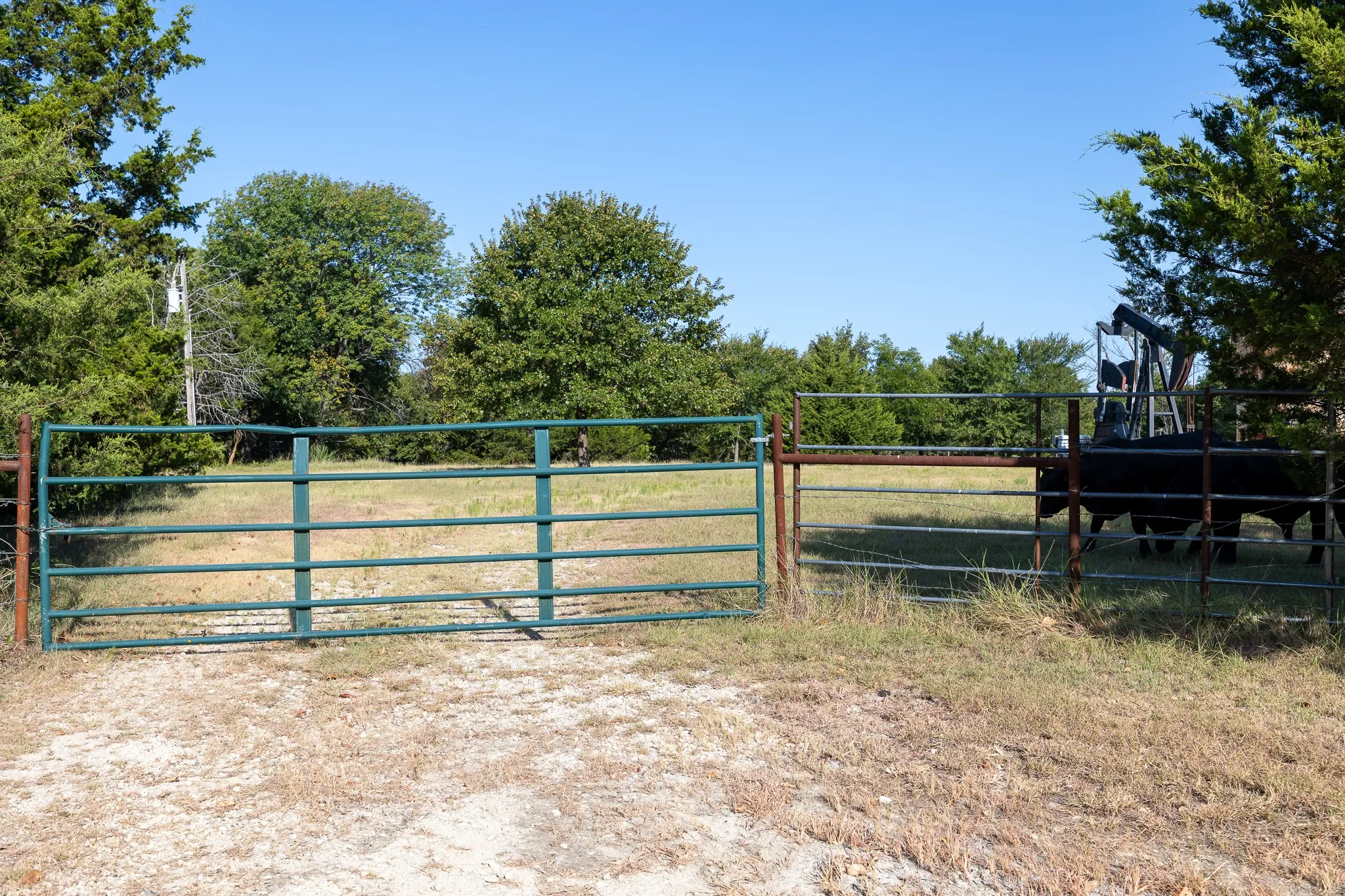 Unimproved Land For Sale in Grayson County , T.B.D. Richards Road, Sadler, Texas 76264, 0, 0, Garage spaces, 0 Sqft, built in 0, mls#21404341, Real Estate Agent in Sadler, Homes For Sale in Grayson county, Homes For Sale in Sadler, Realtor in Sadler Texas, Real Estate Brokerage Independent Realty Texas, Luminita Cordes Realtor
