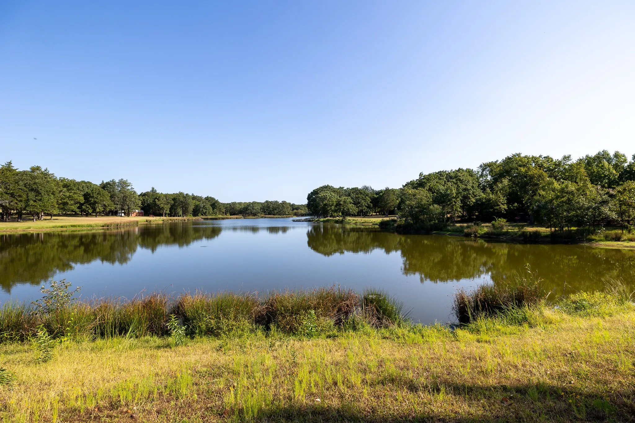 Unimproved Land For Sale in Grayson County , T.B.D. Richards Road, Sadler, Texas 76264, 0, 0, Garage spaces, 0 Sqft, built in 0, mls#21404341, Real Estate Agent in Sadler, Homes For Sale in Grayson county, Homes For Sale in Sadler, Realtor in Sadler Texas, Real Estate Brokerage Independent Realty Texas, Luminita Cordes Realtor