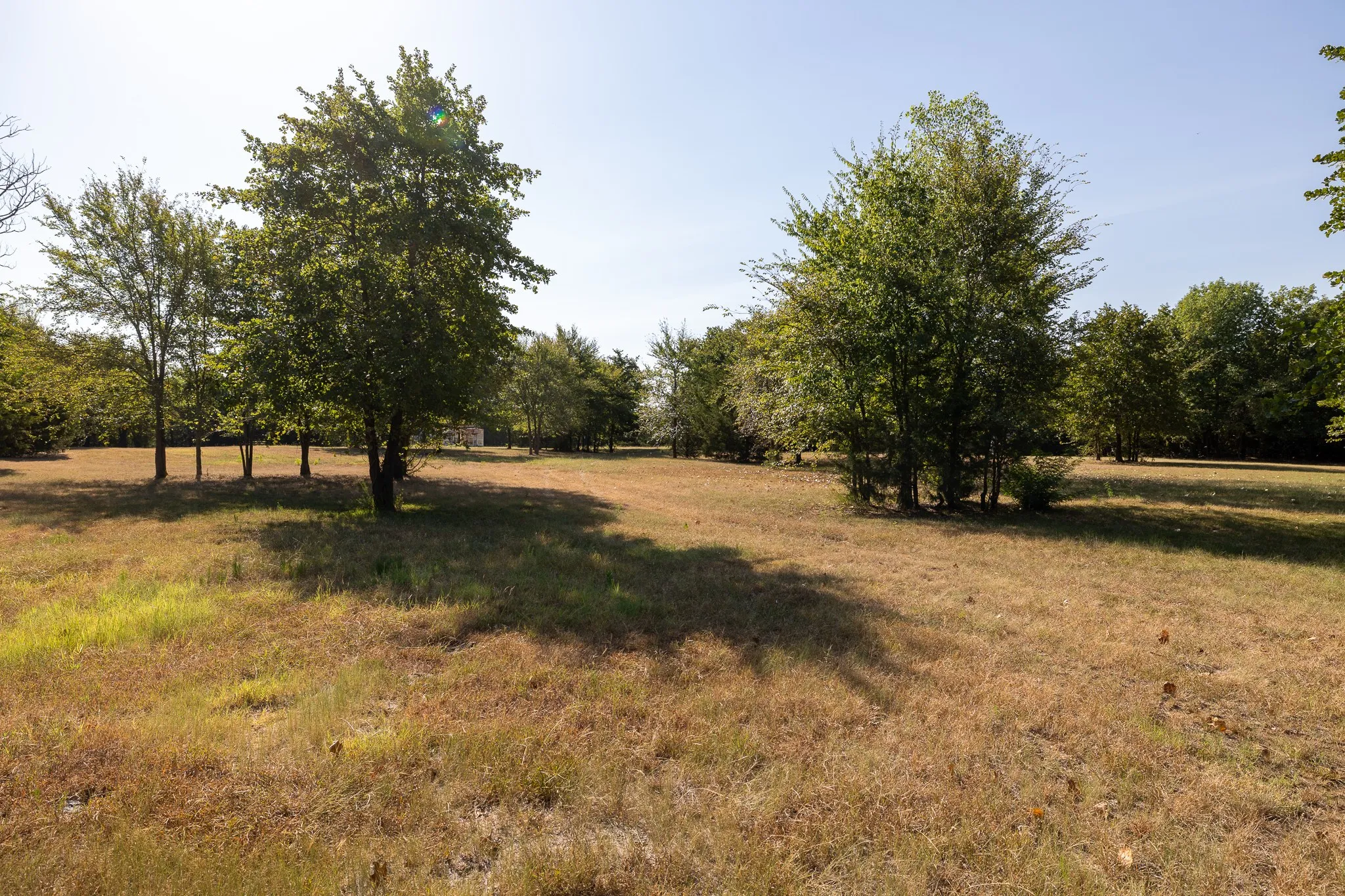 Unimproved Land For Sale in Grayson County , T.B.D. Richards Road, Sadler, Texas 76264, 0, 0, Garage spaces, 0 Sqft, built in 0, mls#21404341, Real Estate Agent in Sadler, Homes For Sale in Grayson county, Homes For Sale in Sadler, Realtor in Sadler Texas, Real Estate Brokerage Independent Realty Texas, Luminita Cordes Realtor