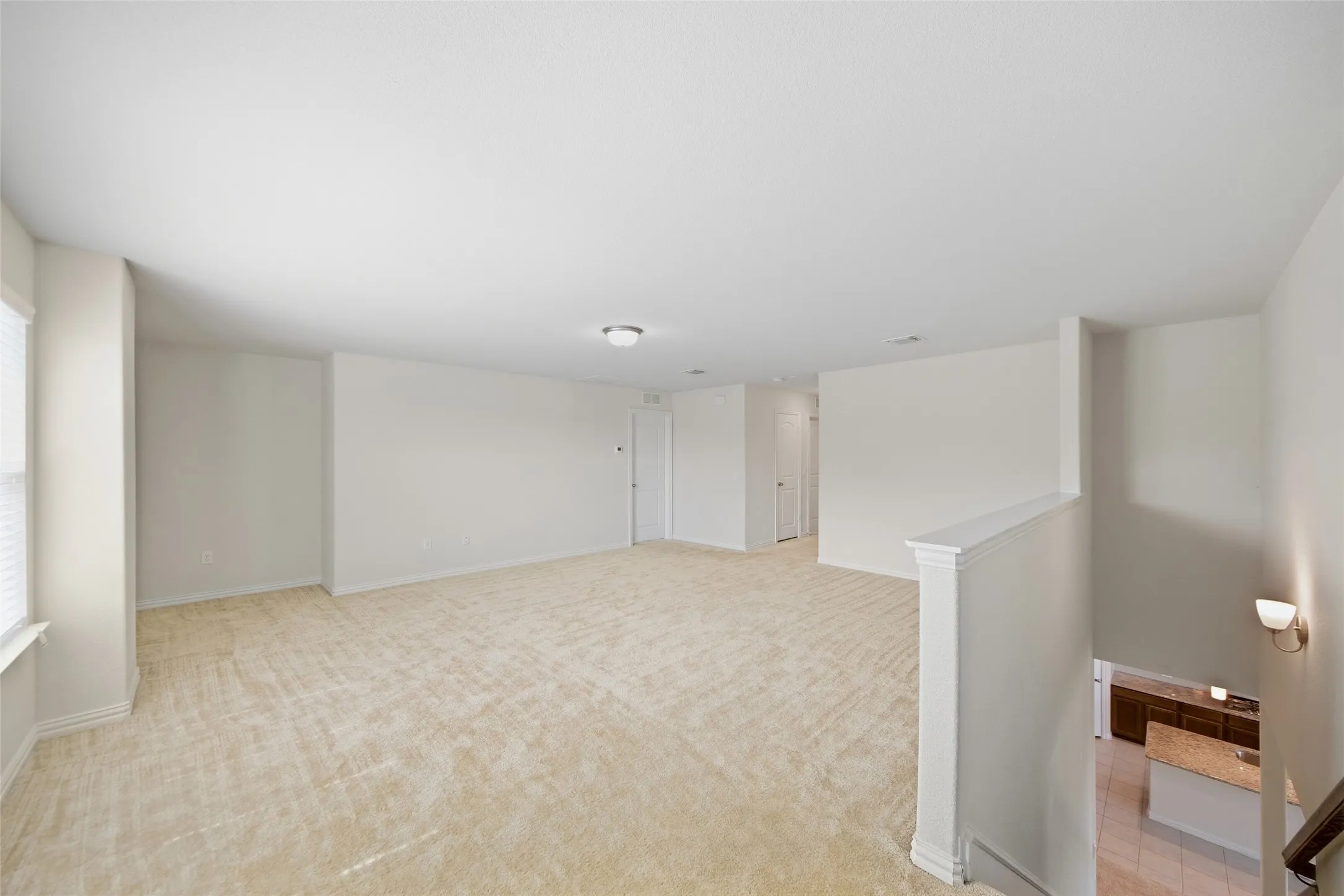 Expansive carpeted area with neutral wall finishes and a flush-mounted ceiling light fixture