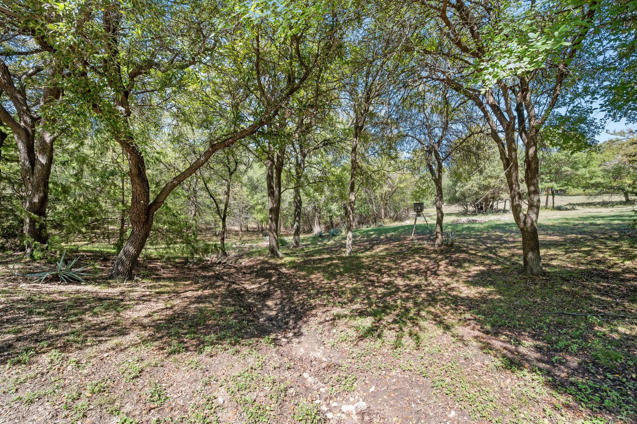 Single Family Residence For Sale in Parker County , 106 Woodhaven Court, Weatherford, Texas 76087, 4 Bedroom, 3 Bathroom, 3 Garage spaces, 2,090 Sqft, built in 2005, mls#21405963, Real Estate Agent in Weatherford, Homes For Sale in Parker county, Homes For Sale in Weatherford, Realtor in Weatherford Texas, Real Estate Brokerage Independent Realty Texas, Luminita Cordes Realtor