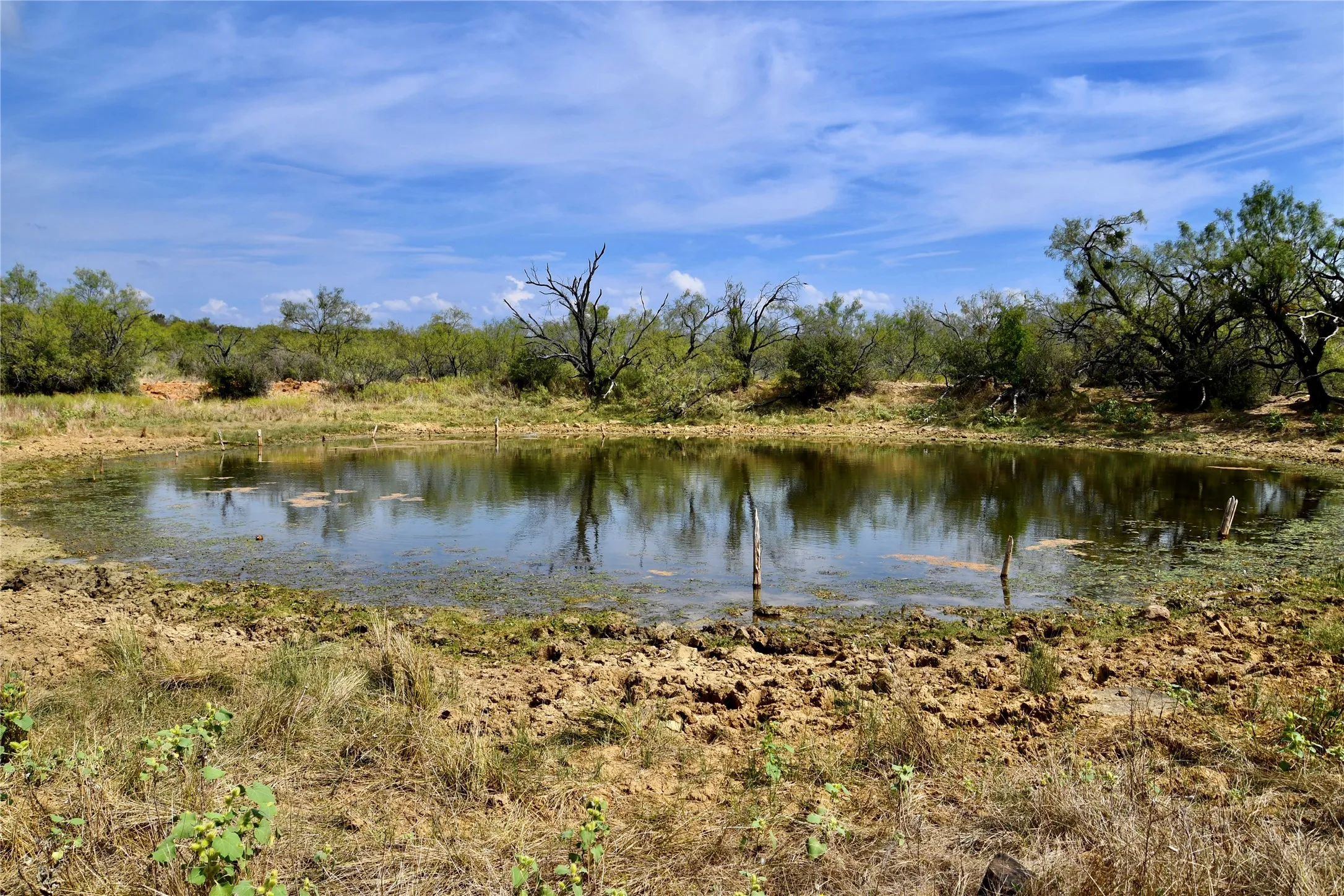 Ranch For Sale in Mills County , 1722 FM 574, Mullin, Texas 76864, 0, 0, Garage spaces, 0 Sqft, built in 0, mls#21406570, Real Estate Agent in Mullin, Homes For Sale in Mills county, Homes For Sale in Mullin, Realtor in Mullin Texas, Real Estate Brokerage Independent Realty Texas, Luminita Cordes Realtor