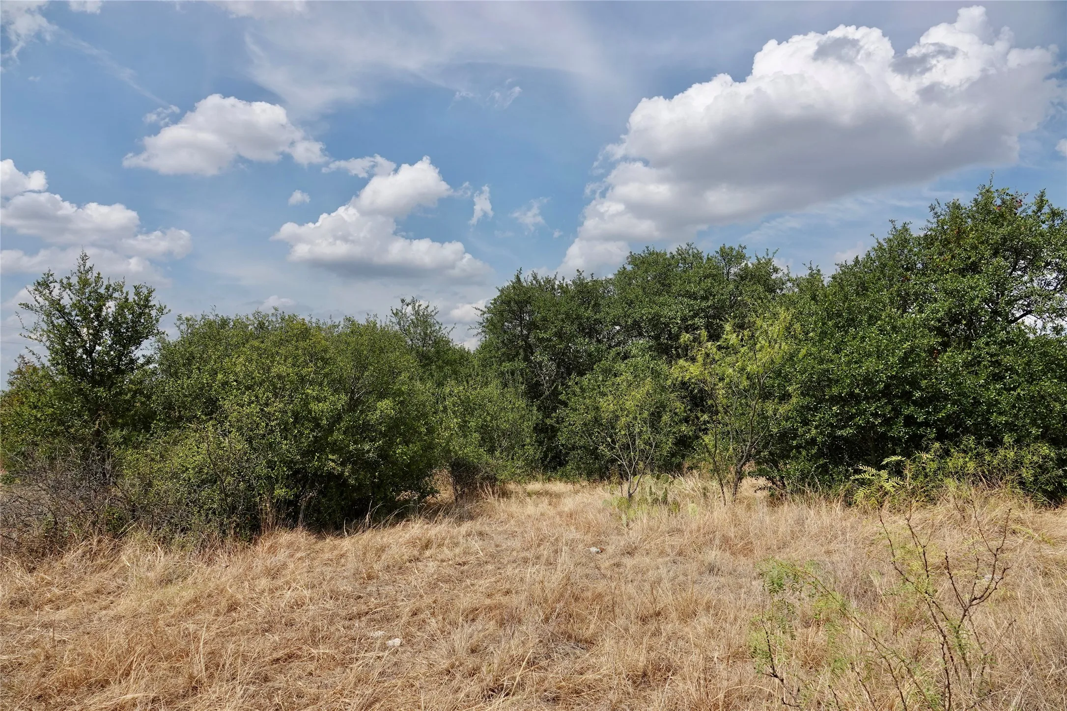 Ranch For Sale in Mills County , 1722 FM 574, Mullin, Texas 76864, 0, 0, Garage spaces, 0 Sqft, built in 0, mls#21406570, Real Estate Agent in Mullin, Homes For Sale in Mills county, Homes For Sale in Mullin, Realtor in Mullin Texas, Real Estate Brokerage Independent Realty Texas, Luminita Cordes Realtor