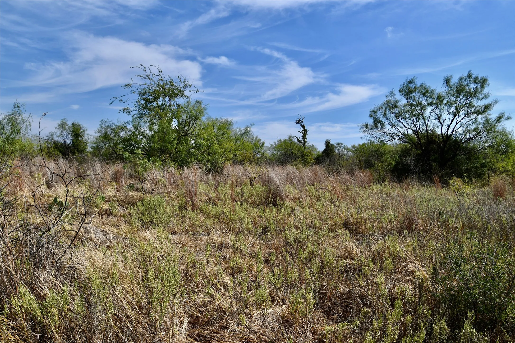 Ranch For Sale in Mills County , 1722 FM 574, Mullin, Texas 76864, 0, 0, Garage spaces, 0 Sqft, built in 0, mls#21406570, Real Estate Agent in Mullin, Homes For Sale in Mills county, Homes For Sale in Mullin, Realtor in Mullin Texas, Real Estate Brokerage Independent Realty Texas, Luminita Cordes Realtor