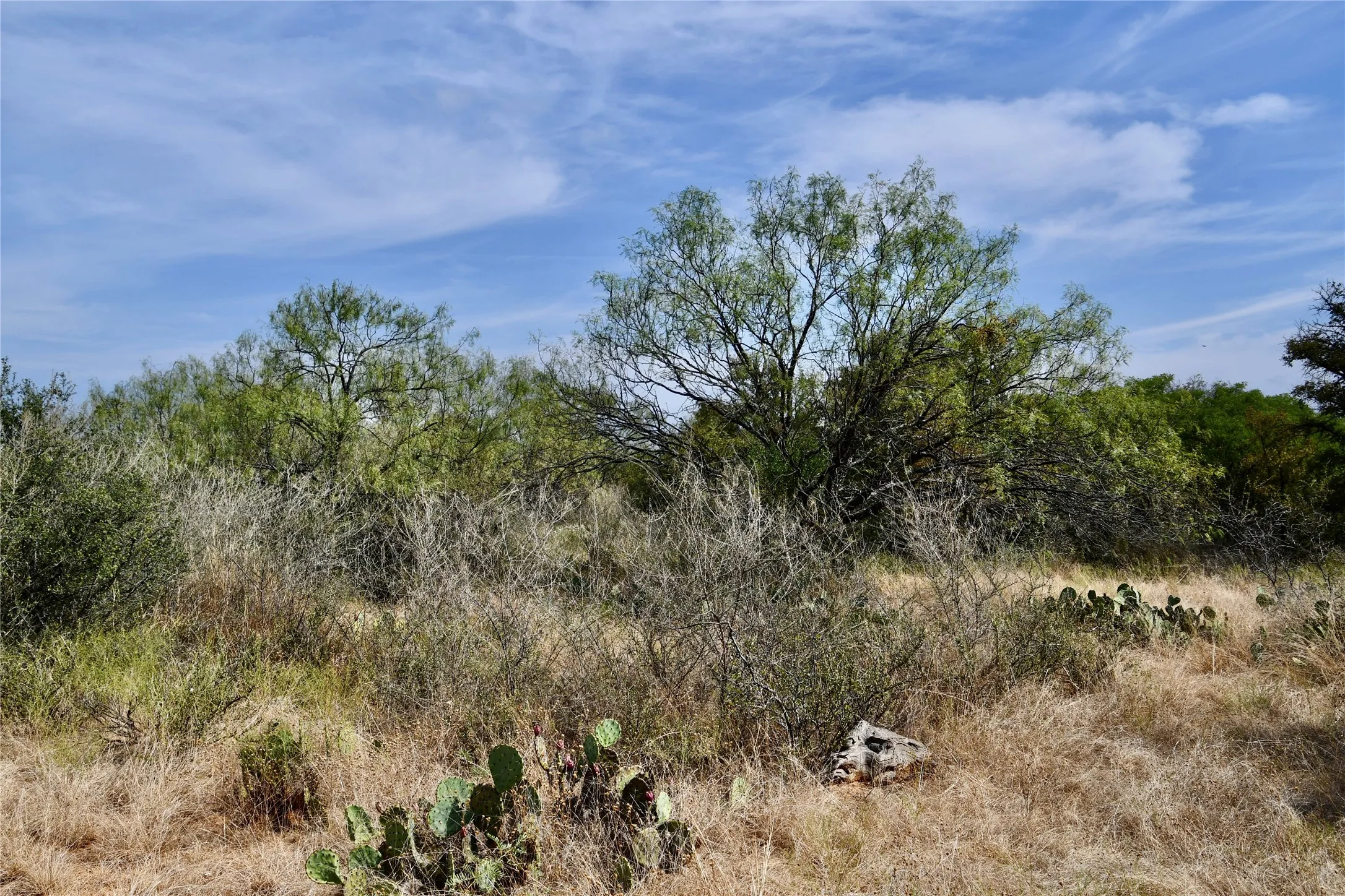 Ranch For Sale in Mills County , 1722 FM 574, Mullin, Texas 76864, 0, 0, Garage spaces, 0 Sqft, built in 0, mls#21406570, Real Estate Agent in Mullin, Homes For Sale in Mills county, Homes For Sale in Mullin, Realtor in Mullin Texas, Real Estate Brokerage Independent Realty Texas, Luminita Cordes Realtor
