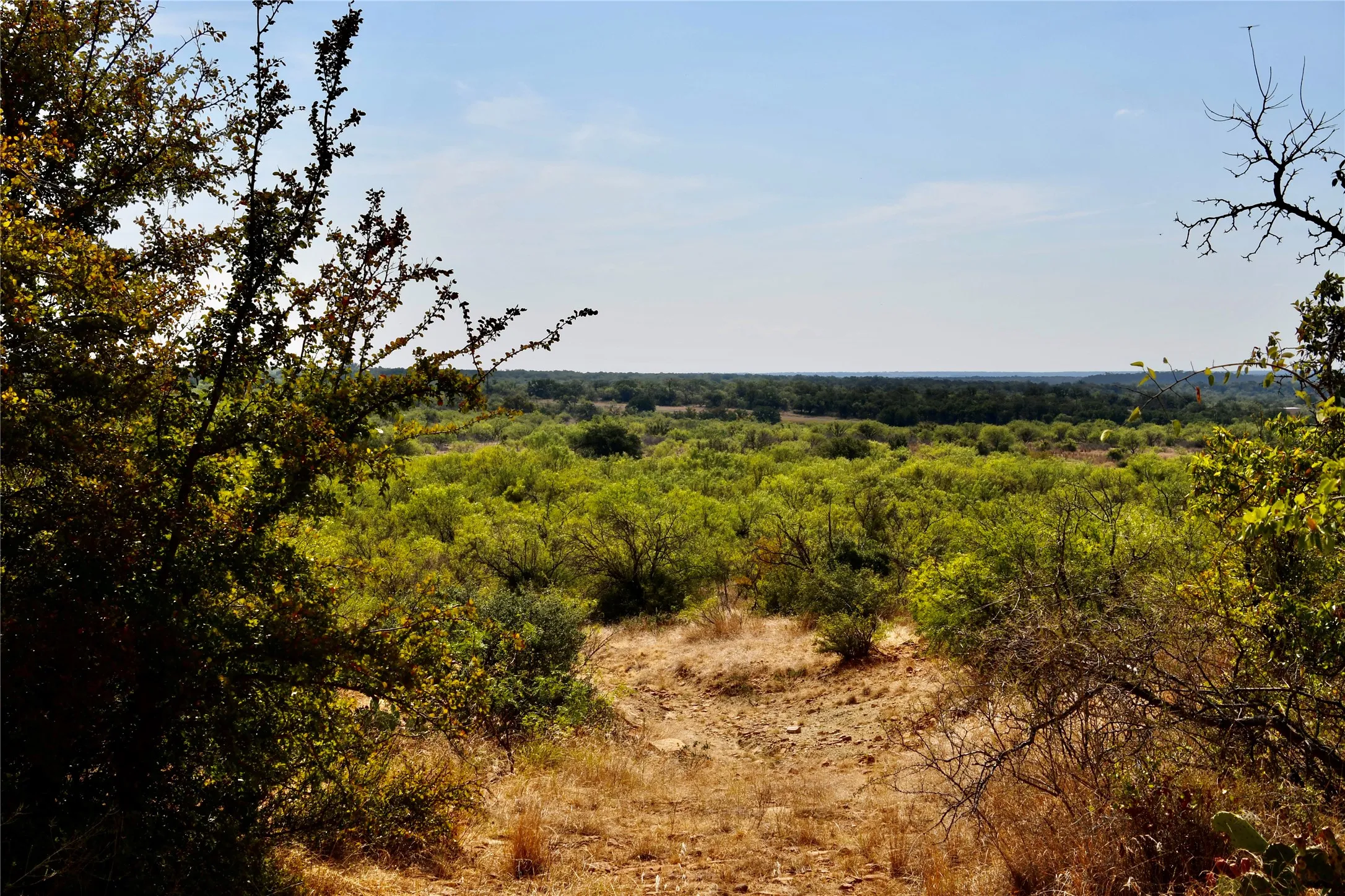 Ranch For Sale in Mills County , 1722 FM 574, Mullin, Texas 76864, 0, 0, Garage spaces, 0 Sqft, built in 0, mls#21406570, Real Estate Agent in Mullin, Homes For Sale in Mills county, Homes For Sale in Mullin, Realtor in Mullin Texas, Real Estate Brokerage Independent Realty Texas, Luminita Cordes Realtor