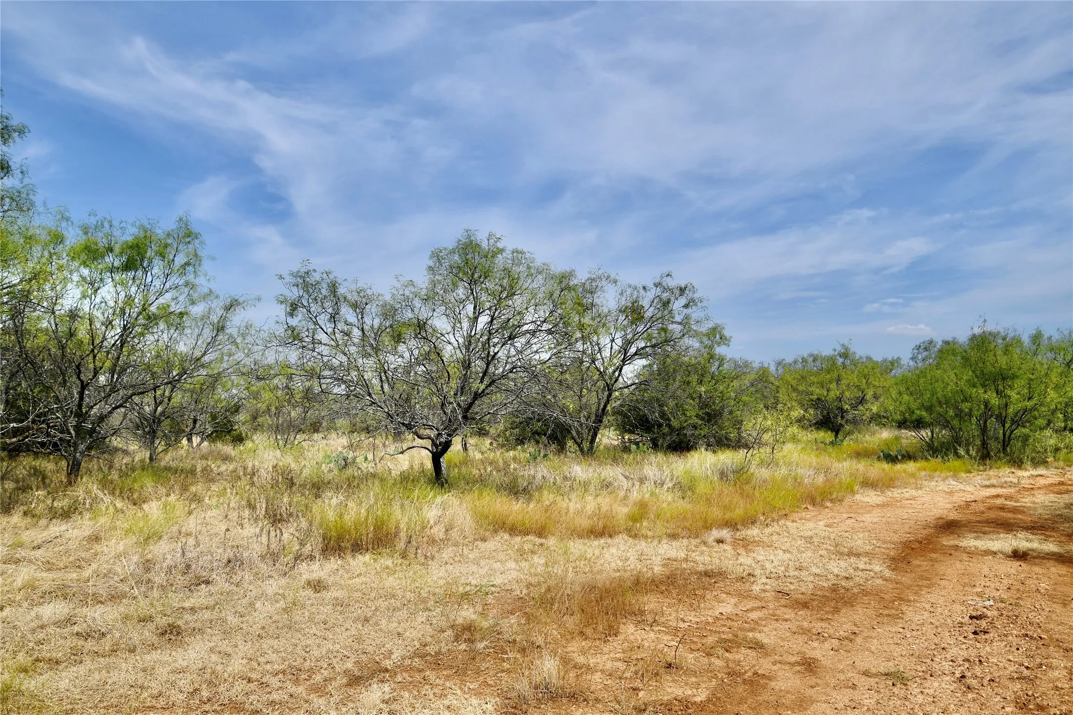 Ranch For Sale in Mills County , 1722 FM 574, Mullin, Texas 76864, 0, 0, Garage spaces, 0 Sqft, built in 0, mls#21406570, Real Estate Agent in Mullin, Homes For Sale in Mills county, Homes For Sale in Mullin, Realtor in Mullin Texas, Real Estate Brokerage Independent Realty Texas, Luminita Cordes Realtor