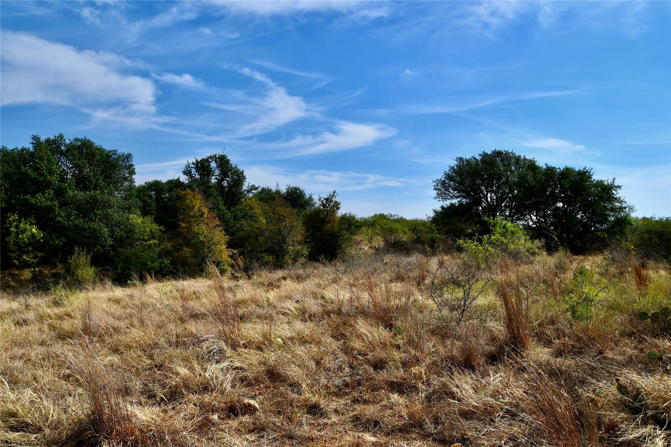 Ranch For Sale in Mills County , 1722 FM 574, Mullin, Texas 76864, 0, 0, Garage spaces, 0 Sqft, built in 0, mls#21406570, Real Estate Agent in Mullin, Homes For Sale in Mills county, Homes For Sale in Mullin, Realtor in Mullin Texas, Real Estate Brokerage Independent Realty Texas, Luminita Cordes Realtor