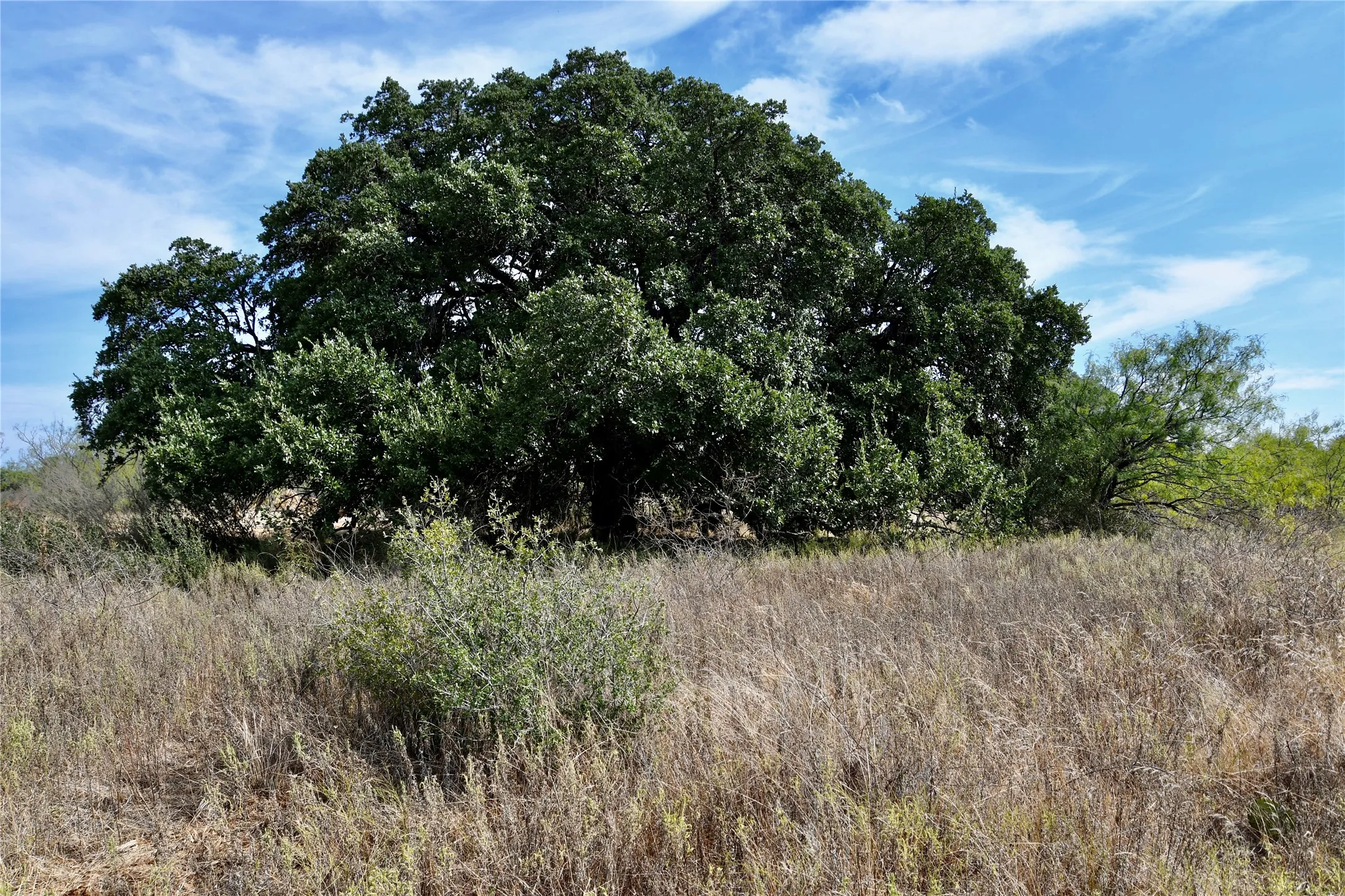 Ranch For Sale in Mills County , 1722 FM 574, Mullin, Texas 76864, 0, 0, Garage spaces, 0 Sqft, built in 0, mls#21406570, Real Estate Agent in Mullin, Homes For Sale in Mills county, Homes For Sale in Mullin, Realtor in Mullin Texas, Real Estate Brokerage Independent Realty Texas, Luminita Cordes Realtor