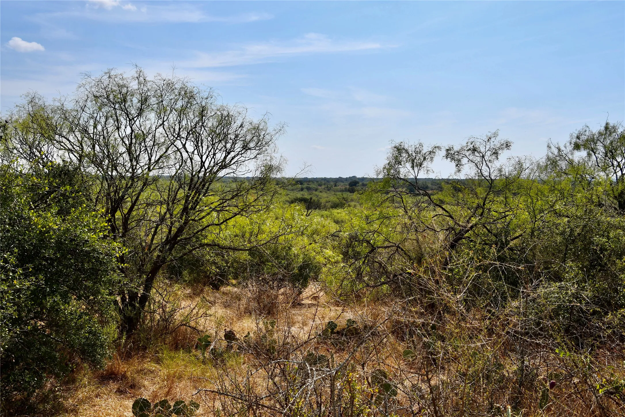 Ranch For Sale in Mills County , 1722 FM 574, Mullin, Texas 76864, 0, 0, Garage spaces, 0 Sqft, built in 0, mls#21406570, Real Estate Agent in Mullin, Homes For Sale in Mills county, Homes For Sale in Mullin, Realtor in Mullin Texas, Real Estate Brokerage Independent Realty Texas, Luminita Cordes Realtor