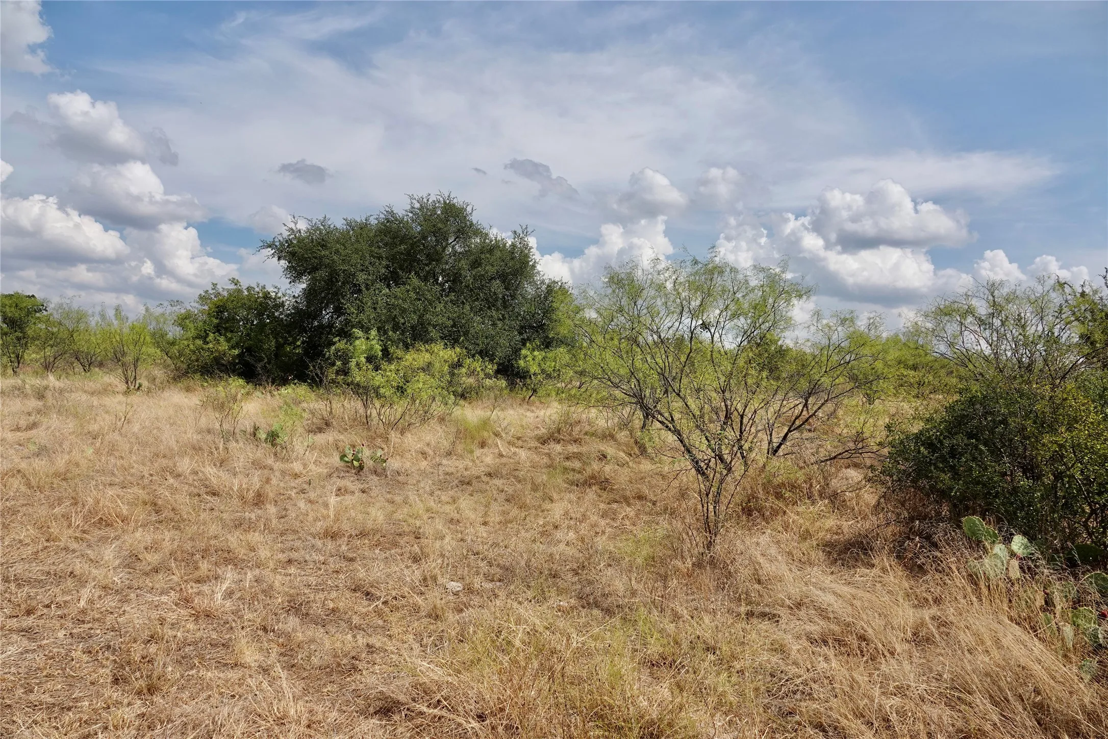 Ranch For Sale in Mills County , 1722 FM 574, Mullin, Texas 76864, 0, 0, Garage spaces, 0 Sqft, built in 0, mls#21406570, Real Estate Agent in Mullin, Homes For Sale in Mills county, Homes For Sale in Mullin, Realtor in Mullin Texas, Real Estate Brokerage Independent Realty Texas, Luminita Cordes Realtor