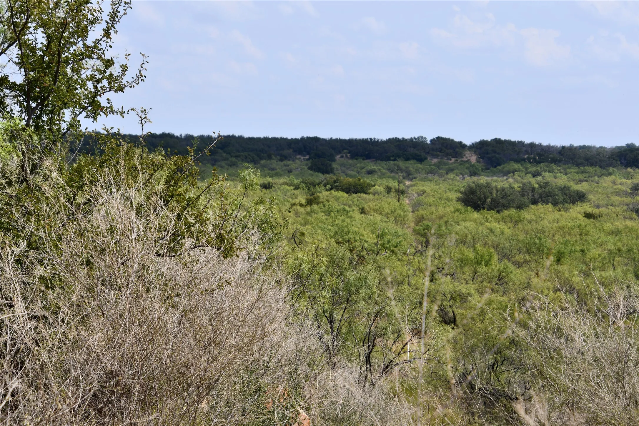 Ranch For Sale in Mills County , 1722 FM 574, Mullin, Texas 76864, 0, 0, Garage spaces, 0 Sqft, built in 0, mls#21406570, Real Estate Agent in Mullin, Homes For Sale in Mills county, Homes For Sale in Mullin, Realtor in Mullin Texas, Real Estate Brokerage Independent Realty Texas, Luminita Cordes Realtor