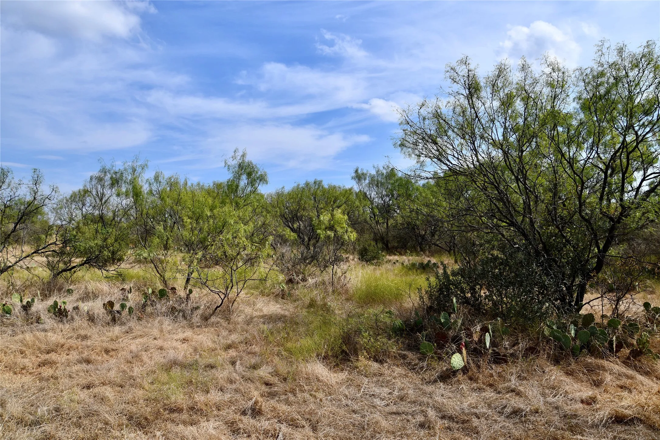 Ranch For Sale in Mills County , 1722 FM 574, Mullin, Texas 76864, 0, 0, Garage spaces, 0 Sqft, built in 0, mls#21406570, Real Estate Agent in Mullin, Homes For Sale in Mills county, Homes For Sale in Mullin, Realtor in Mullin Texas, Real Estate Brokerage Independent Realty Texas, Luminita Cordes Realtor