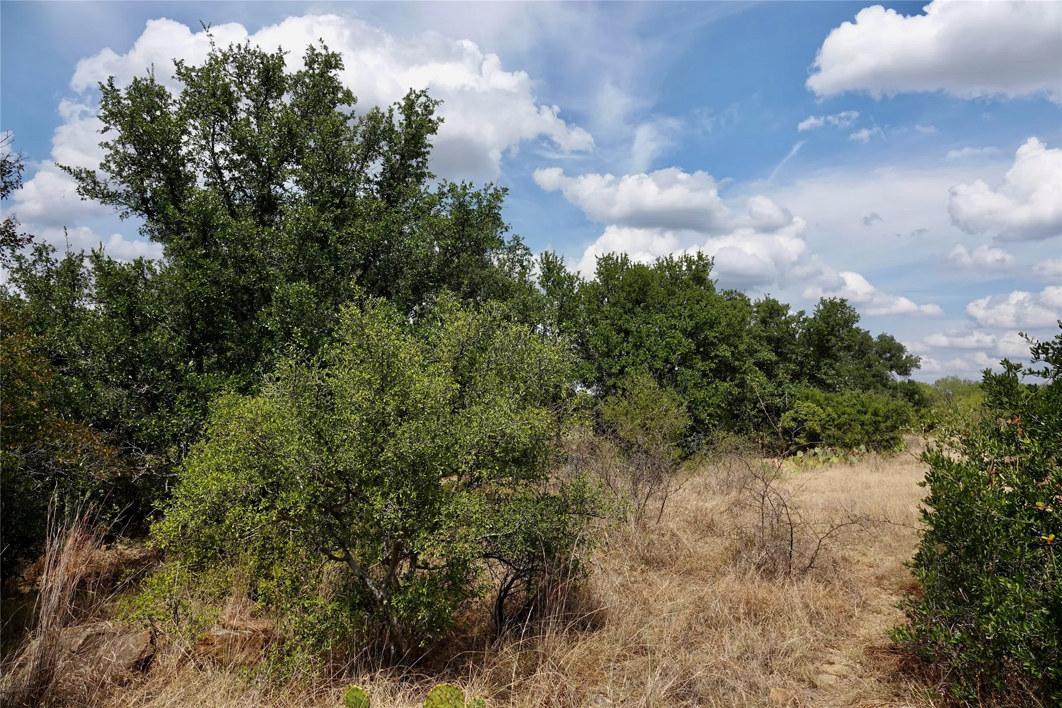 Ranch For Sale in Mills County , 1722 FM 574, Mullin, Texas 76864, 0, 0, Garage spaces, 0 Sqft, built in 0, mls#21406570, Real Estate Agent in Mullin, Homes For Sale in Mills county, Homes For Sale in Mullin, Realtor in Mullin Texas, Real Estate Brokerage Independent Realty Texas, Luminita Cordes Realtor