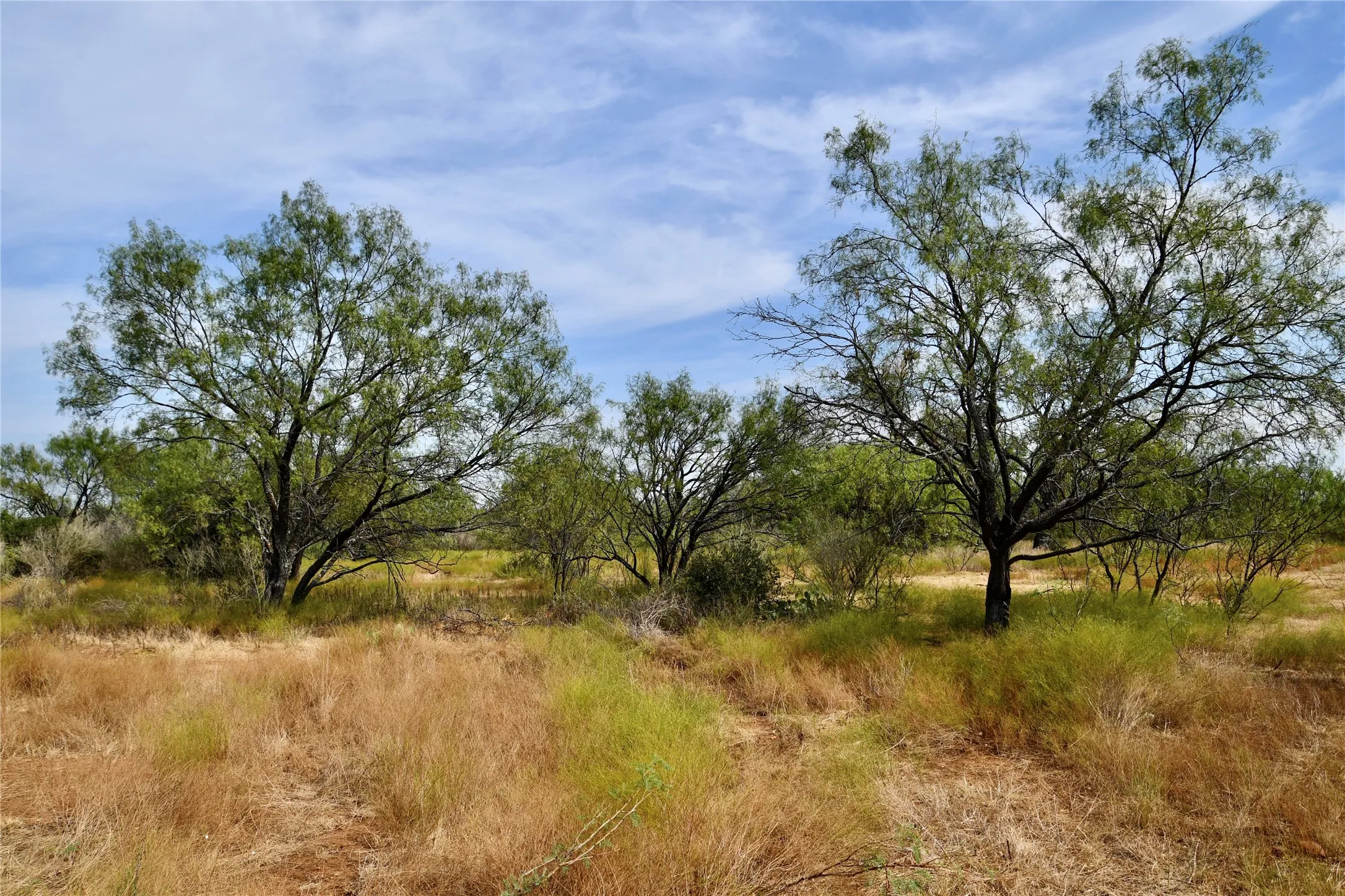 Ranch For Sale in Mills County , 1722 FM 574, Mullin, Texas 76864, 0, 0, Garage spaces, 0 Sqft, built in 0, mls#21406570, Real Estate Agent in Mullin, Homes For Sale in Mills county, Homes For Sale in Mullin, Realtor in Mullin Texas, Real Estate Brokerage Independent Realty Texas, Luminita Cordes Realtor