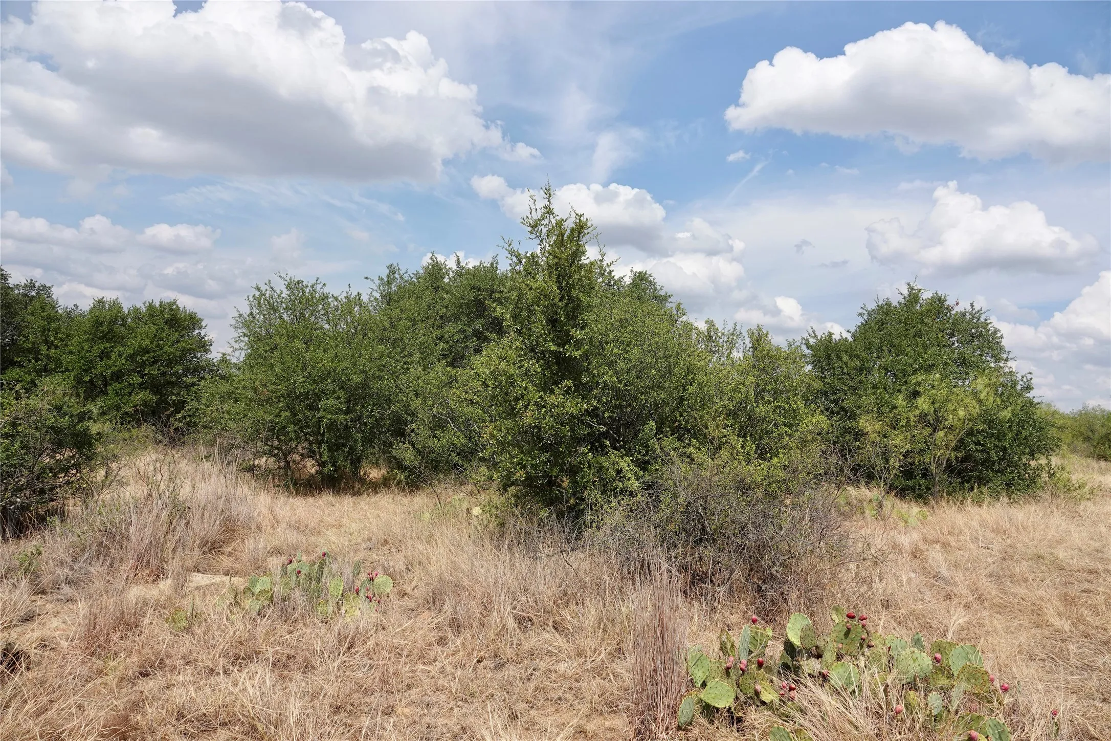 Ranch For Sale in Mills County , 1722 FM 574, Mullin, Texas 76864, 0, 0, Garage spaces, 0 Sqft, built in 0, mls#21406570, Real Estate Agent in Mullin, Homes For Sale in Mills county, Homes For Sale in Mullin, Realtor in Mullin Texas, Real Estate Brokerage Independent Realty Texas, Luminita Cordes Realtor