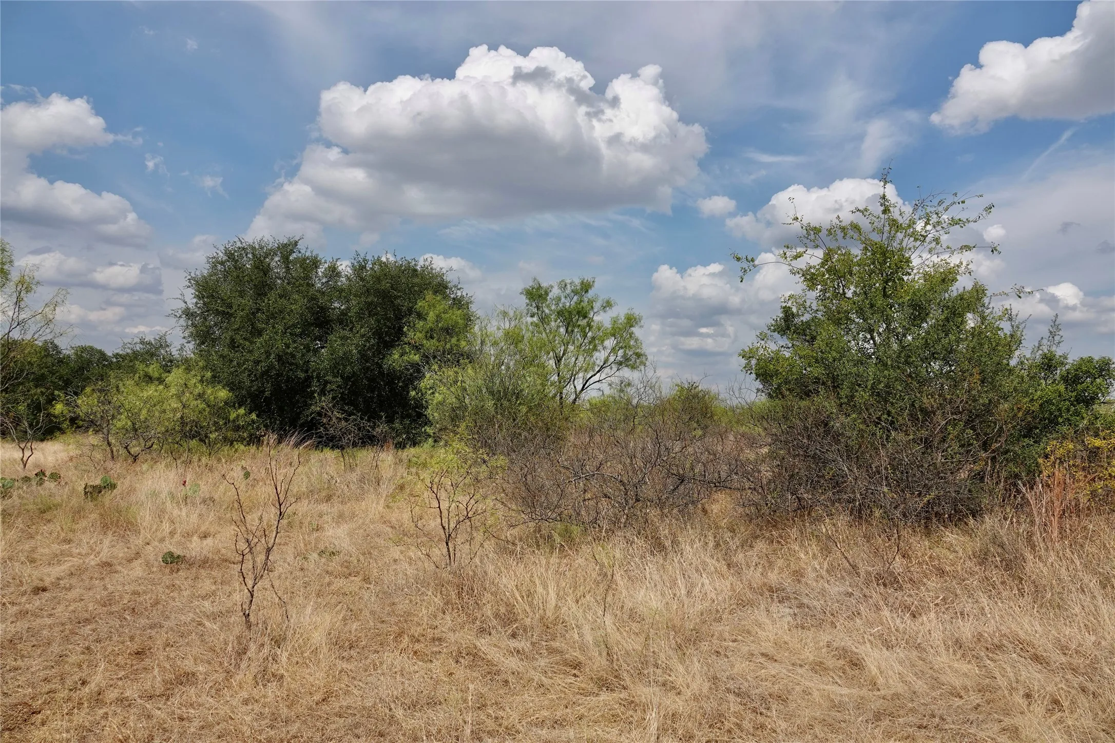 Ranch For Sale in Mills County , 1722 FM 574, Mullin, Texas 76864, 0, 0, Garage spaces, 0 Sqft, built in 0, mls#21406570, Real Estate Agent in Mullin, Homes For Sale in Mills county, Homes For Sale in Mullin, Realtor in Mullin Texas, Real Estate Brokerage Independent Realty Texas, Luminita Cordes Realtor