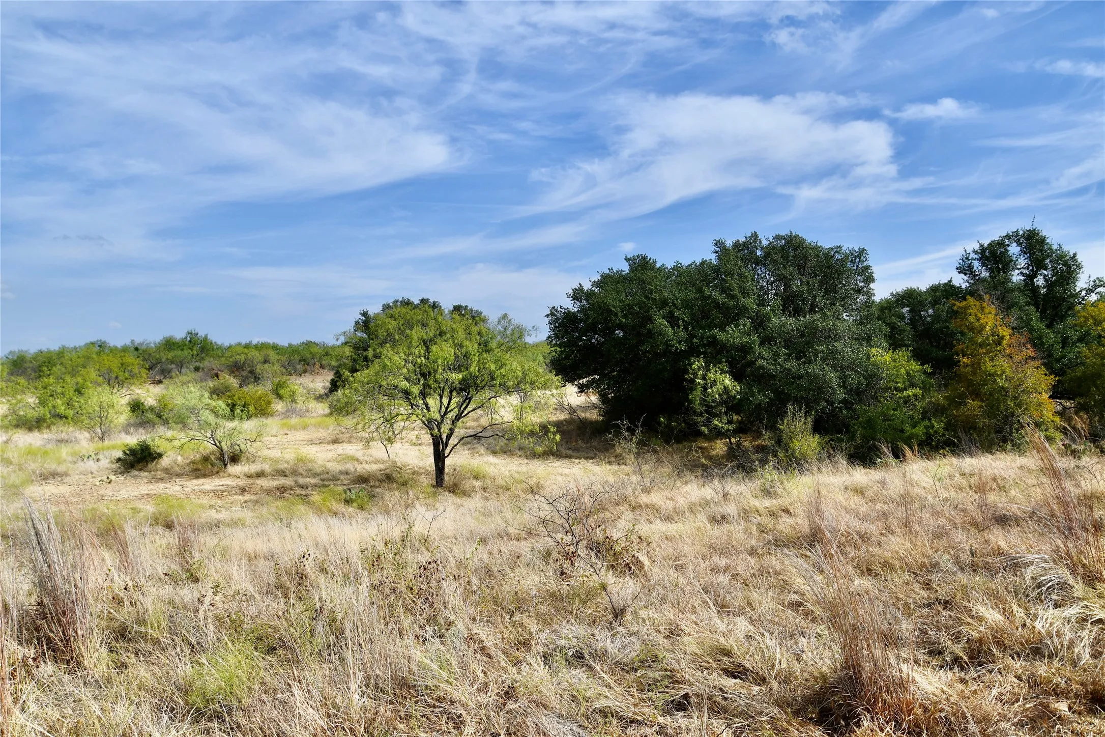 Ranch For Sale in Mills County , 1722 FM 574, Mullin, Texas 76864, 0, 0, Garage spaces, 0 Sqft, built in 0, mls#21406570, Real Estate Agent in Mullin, Homes For Sale in Mills county, Homes For Sale in Mullin, Realtor in Mullin Texas, Real Estate Brokerage Independent Realty Texas, Luminita Cordes Realtor