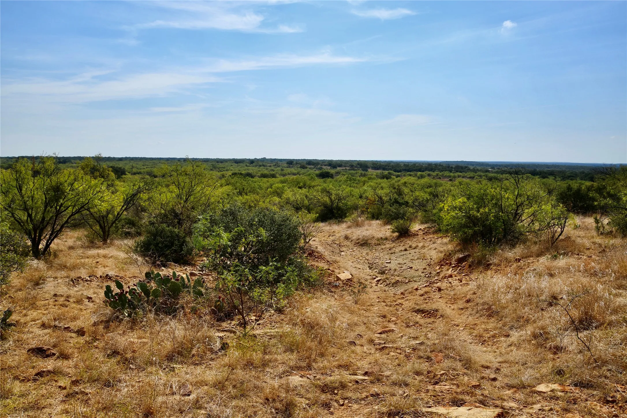 Ranch For Sale in Mills County , 1722 FM 574, Mullin, Texas 76864, 0, 0, Garage spaces, 0 Sqft, built in 0, mls#21406570, Real Estate Agent in Mullin, Homes For Sale in Mills county, Homes For Sale in Mullin, Realtor in Mullin Texas, Real Estate Brokerage Independent Realty Texas, Luminita Cordes Realtor