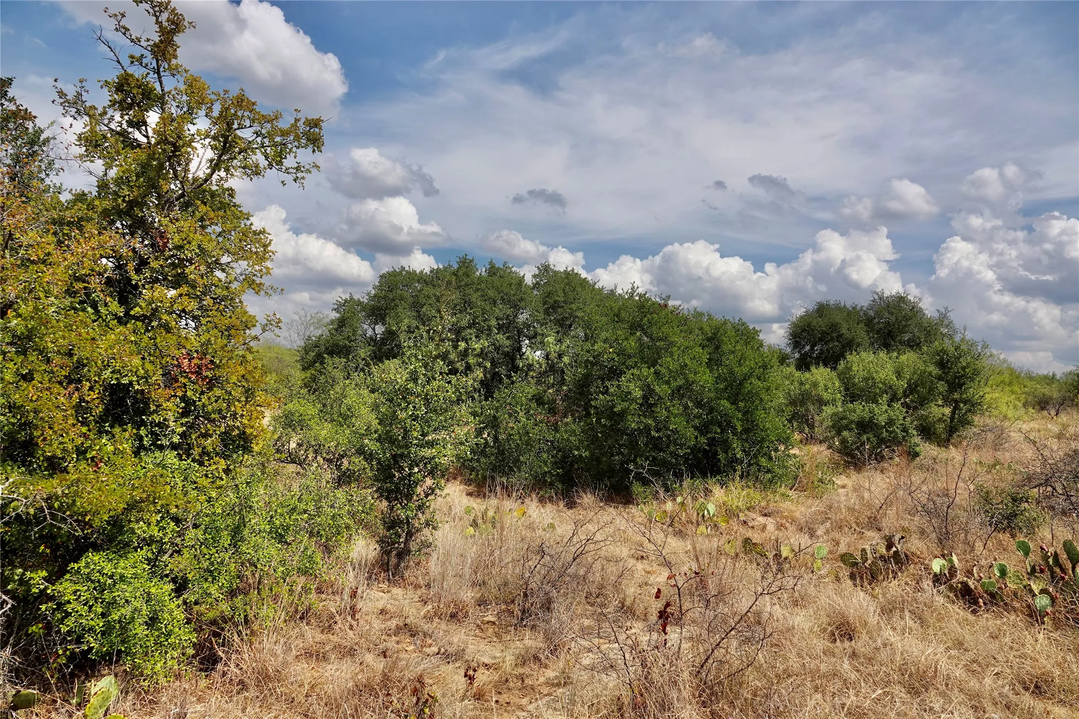 Ranch For Sale in Mills County , 1722 FM 574, Mullin, Texas 76864, 0, 0, Garage spaces, 0 Sqft, built in 0, mls#21406570, Real Estate Agent in Mullin, Homes For Sale in Mills county, Homes For Sale in Mullin, Realtor in Mullin Texas, Real Estate Brokerage Independent Realty Texas, Luminita Cordes Realtor