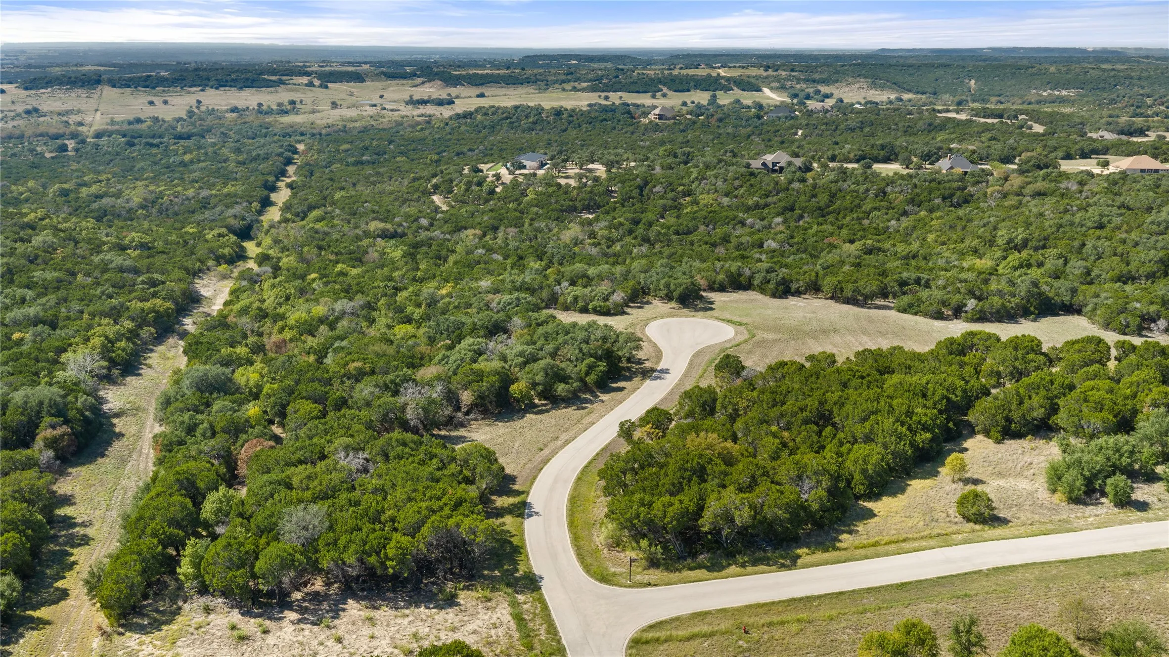 Aerial view showcasing rolling acreage with mature tree coverage, winding paved driveway with elegant curves, and open pastureland