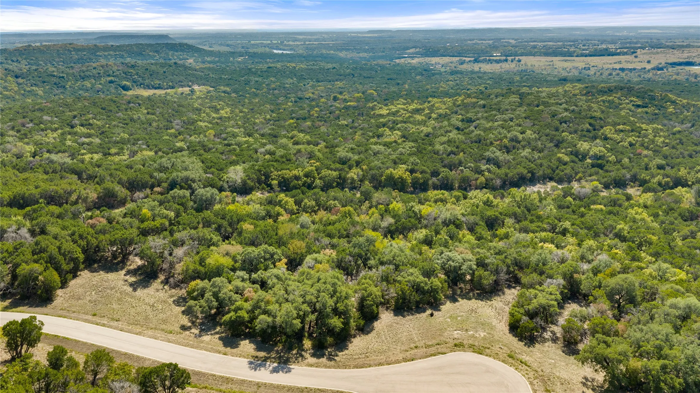 Expansive undeveloped land featuring a paved road, abundant mature trees, and a clear sky