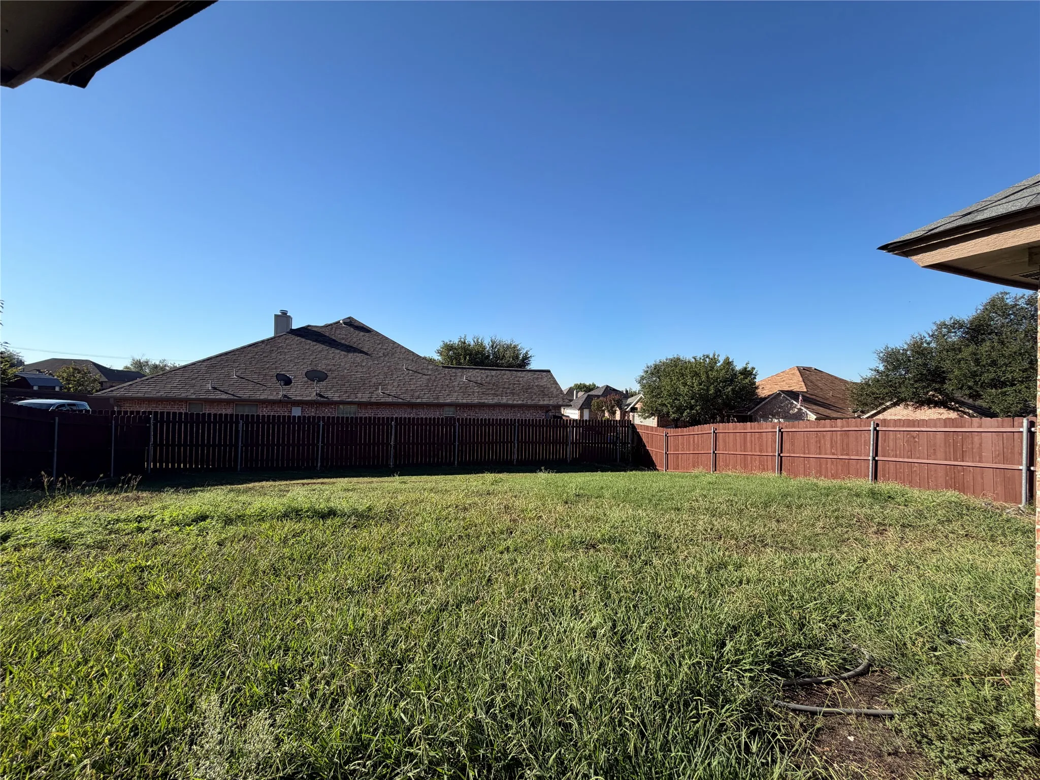 Expansive backyard with a full perimeter fence and established ground cover