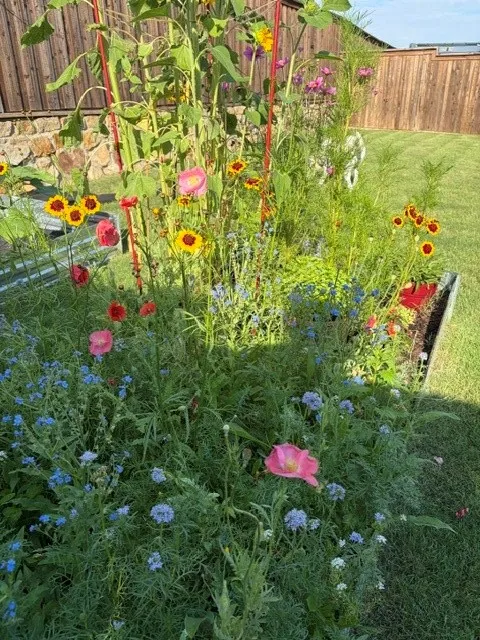 Raised garden bed featuring diverse flowering plants and lush greenery