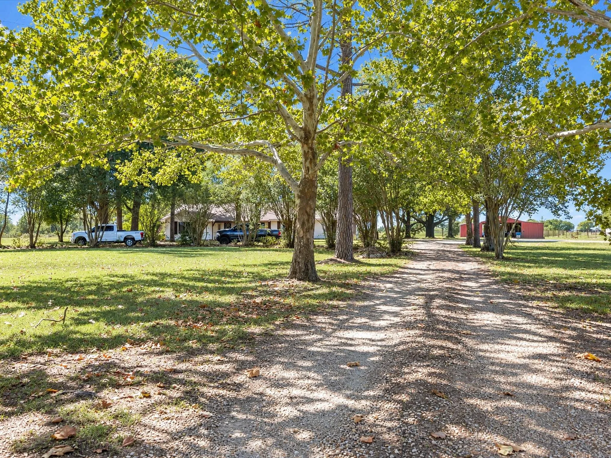 Single Family Residence For Sale in Ellis County , 4800 Oak Grove Road, Ennis, Texas 75119, 4 Bedroom, 3 Bathroom, 1 Garage spaces, 3,159 Sqft, built in 1972, mls#21405989, Real Estate Agent in Ennis, Homes For Sale in Ellis county, Homes For Sale in Ennis, Realtor in Ennis Texas, Real Estate Brokerage Independent Realty Texas, Luminita Cordes Realtor