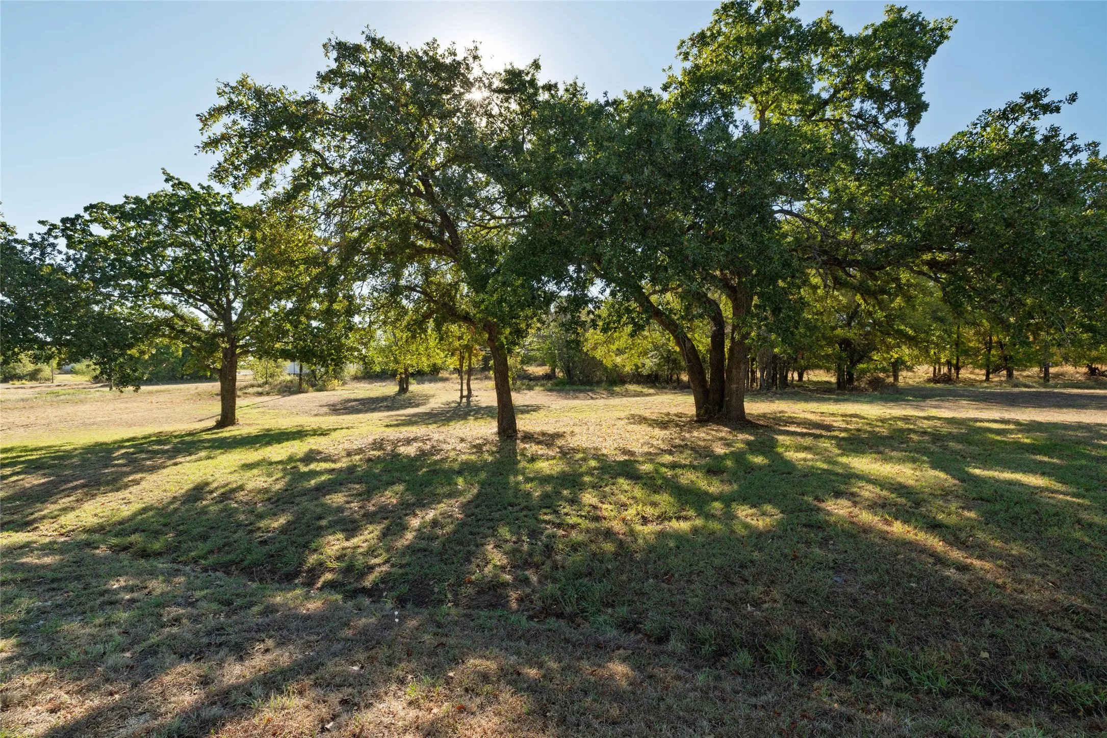 Unimproved Land For Sale in Wise County , TBD Lot 21 Port O Call Drive, Runaway Bay, Texas 76426, 0, 0, Garage spaces, 0 Sqft, built in 0, mls#21404538, Real Estate Agent in Runaway Bay, Homes For Sale in Wise county, Homes For Sale in Runaway Bay, Realtor in Runaway Bay Texas, Real Estate Brokerage Independent Realty Texas, Luminita Cordes Realtor