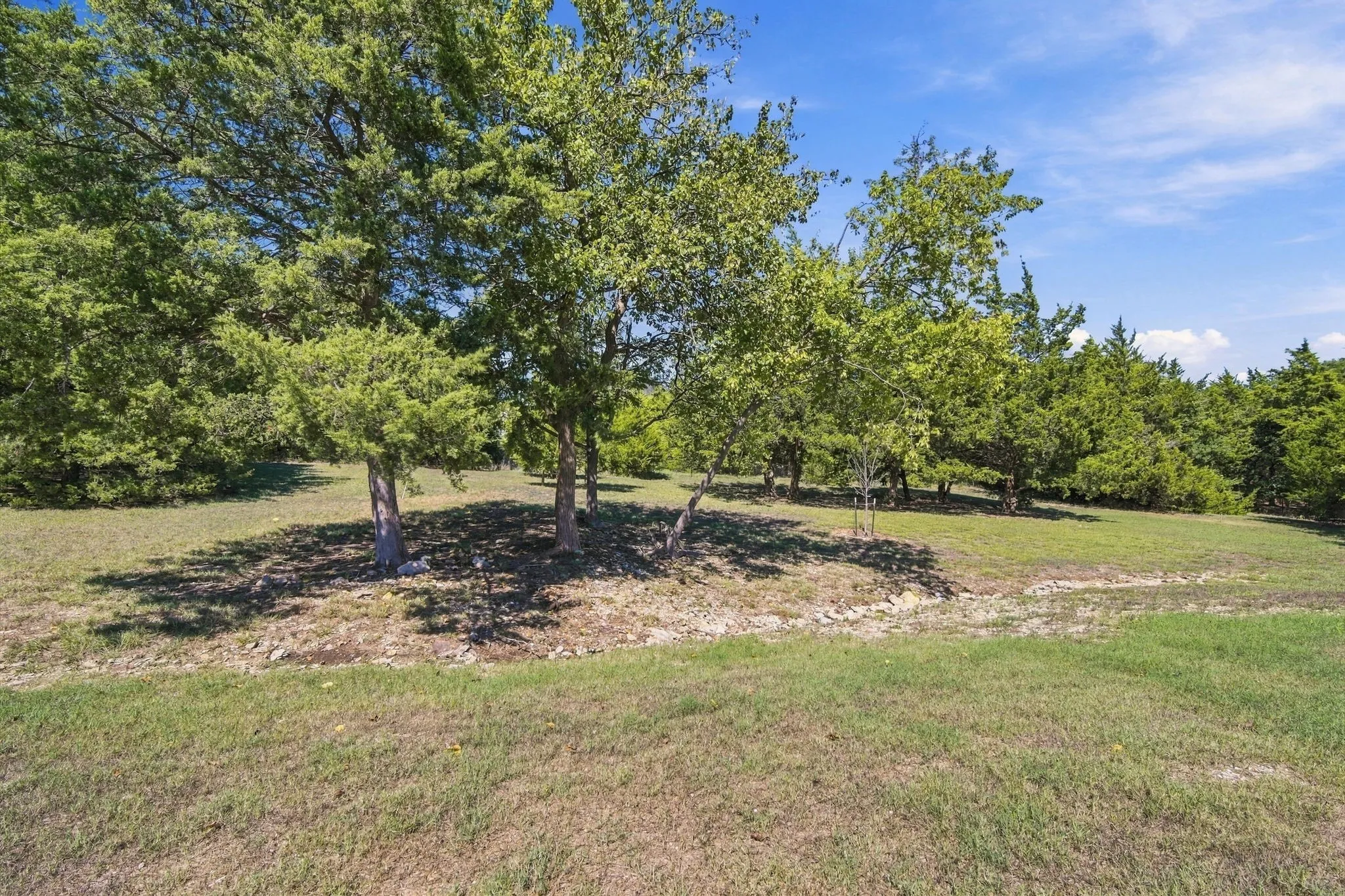 Expansive grassy terrain with mature trees.