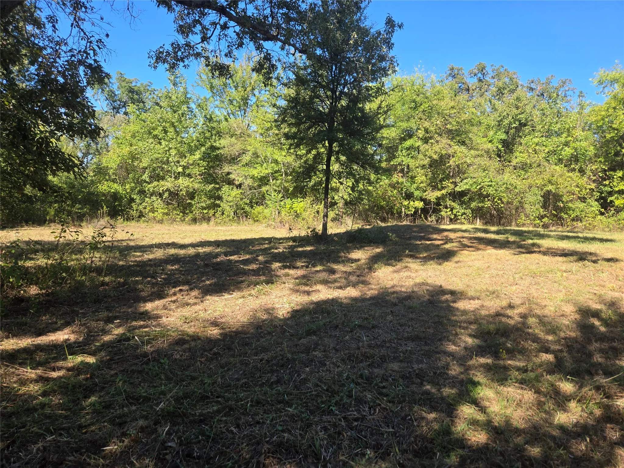 Improved Land For Sale in Titus County , 532 County Road 1780, Mt Pleasant, Texas 75455, 0, 0, Garage spaces, 0 Sqft, built in 0, mls#21406655, Real Estate Agent in Mt Pleasant, Homes For Sale in Titus county, Homes For Sale in Mt Pleasant, Realtor in Mt Pleasant Texas, Real Estate Brokerage Independent Realty Texas, Luminita Cordes Realtor