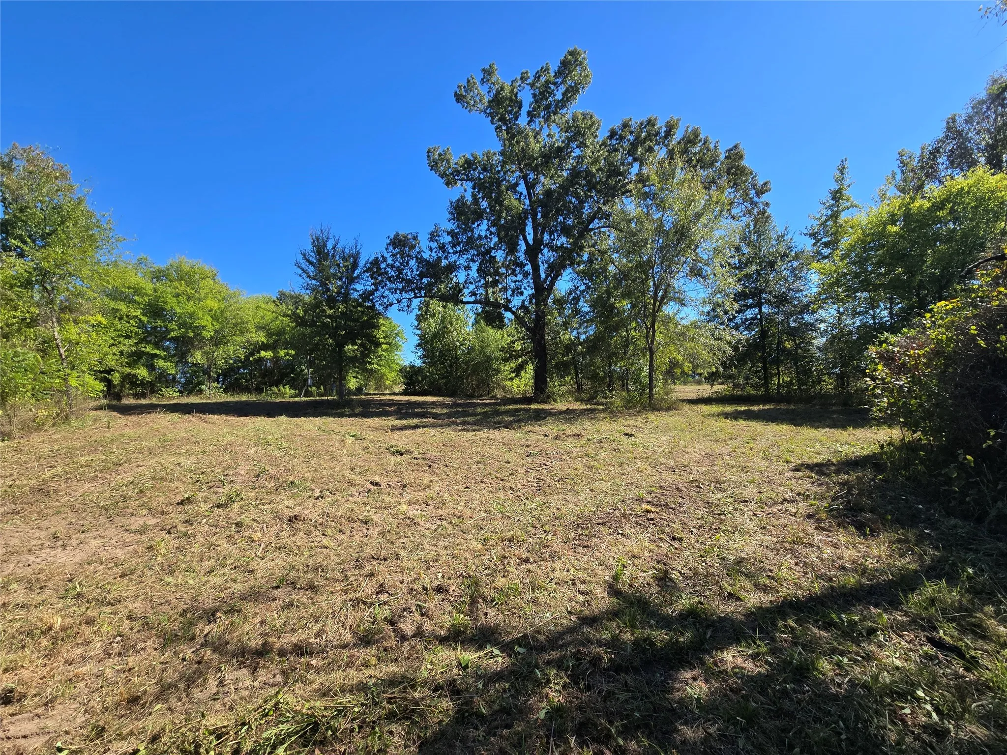 Improved Land For Sale in Titus County , 532 County Road 1780, Mt Pleasant, Texas 75455, 0, 0, Garage spaces, 0 Sqft, built in 0, mls#21406655, Real Estate Agent in Mt Pleasant, Homes For Sale in Titus county, Homes For Sale in Mt Pleasant, Realtor in Mt Pleasant Texas, Real Estate Brokerage Independent Realty Texas, Luminita Cordes Realtor
