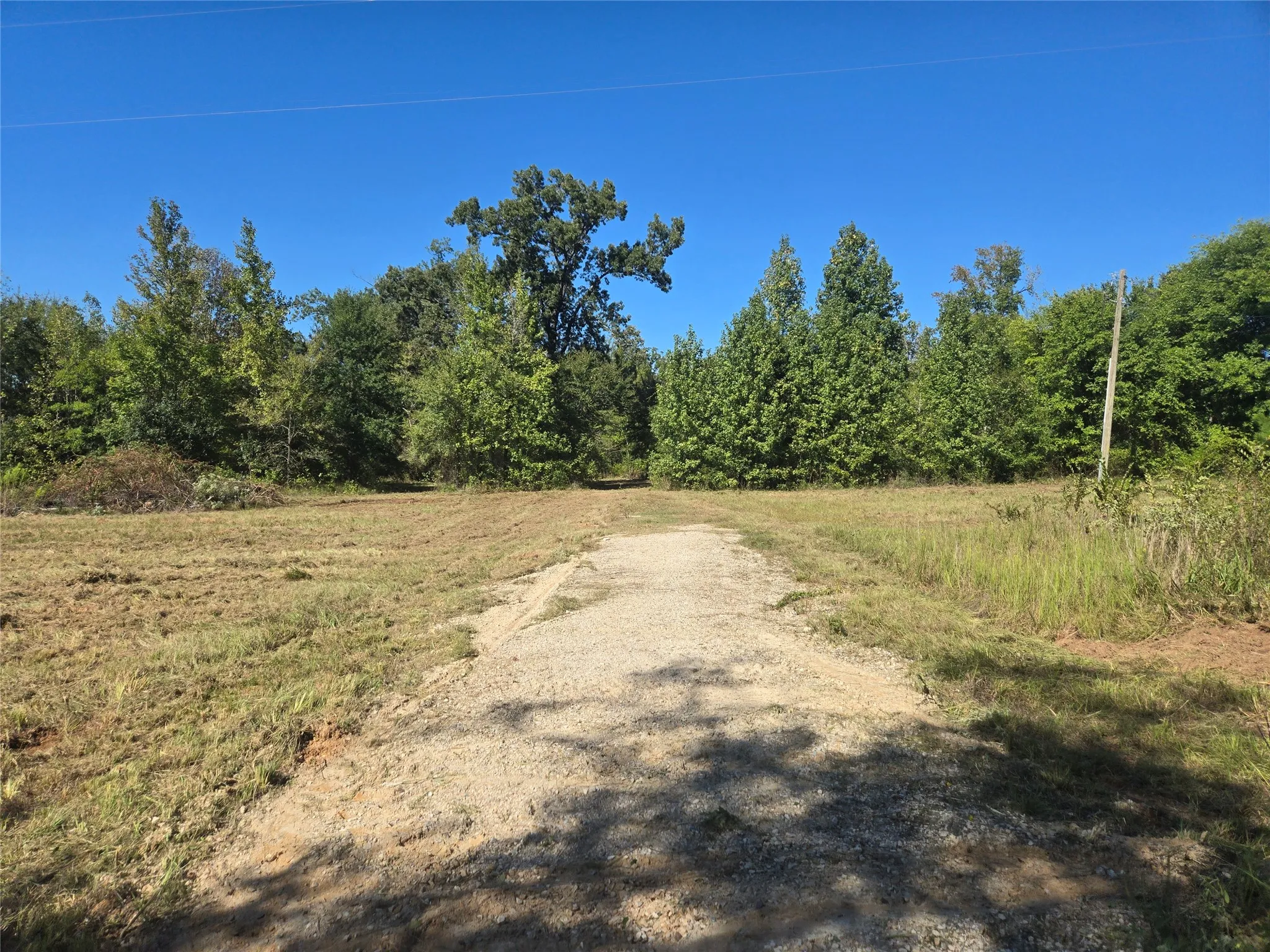 Improved Land For Sale in Titus County , 532 County Road 1780, Mt Pleasant, Texas 75455, 0, 0, Garage spaces, 0 Sqft, built in 0, mls#21406655, Real Estate Agent in Mt Pleasant, Homes For Sale in Titus county, Homes For Sale in Mt Pleasant, Realtor in Mt Pleasant Texas, Real Estate Brokerage Independent Realty Texas, Luminita Cordes Realtor