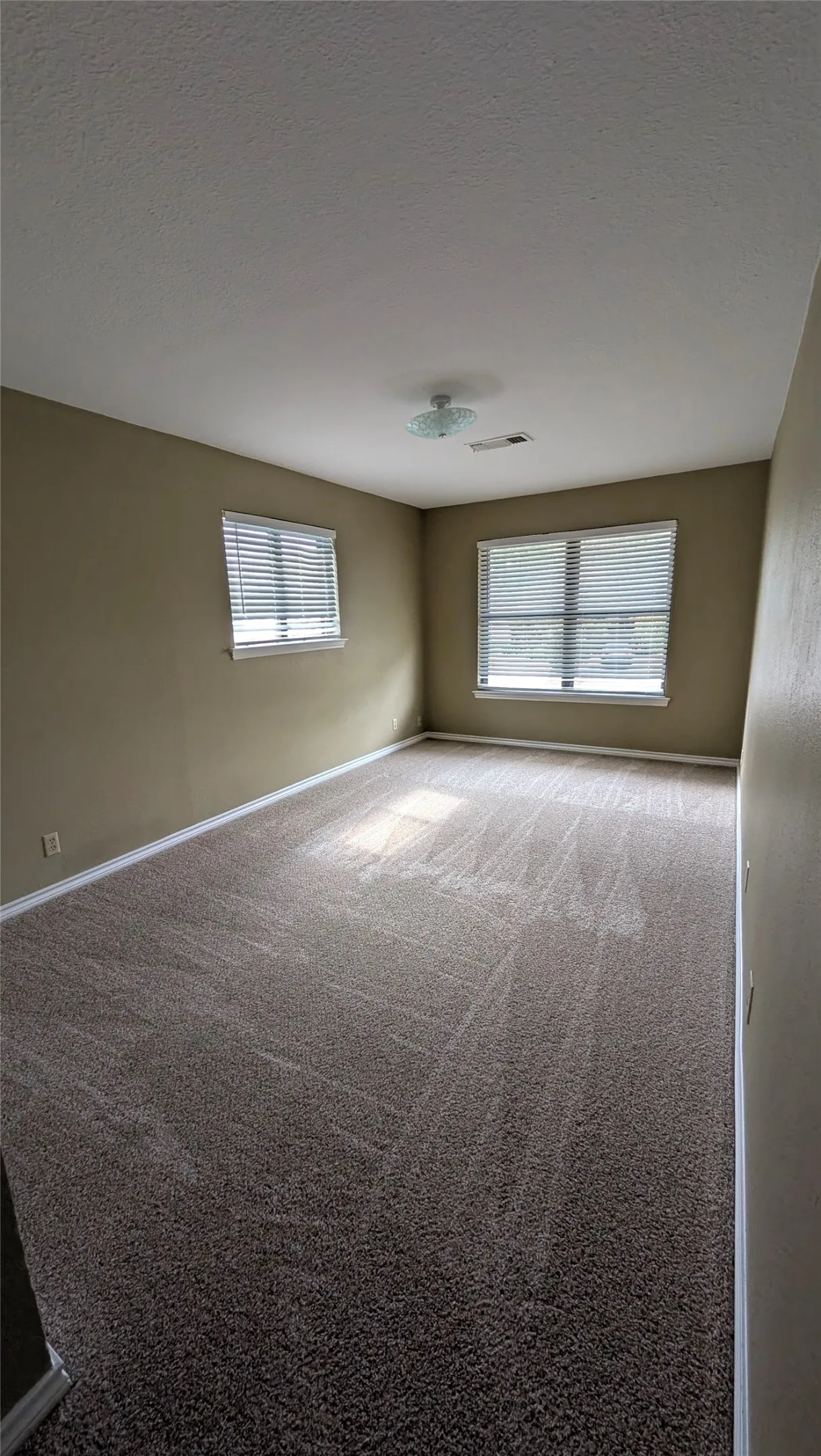 Carpeted flooring, neutral wall tones, two windows with blinds, and a flush-mount ceiling light fixture