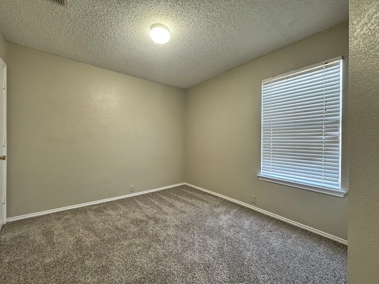 Neutral-toned walls, textured ceiling, flush-mount lighting, window with blinds, and carpeted flooring