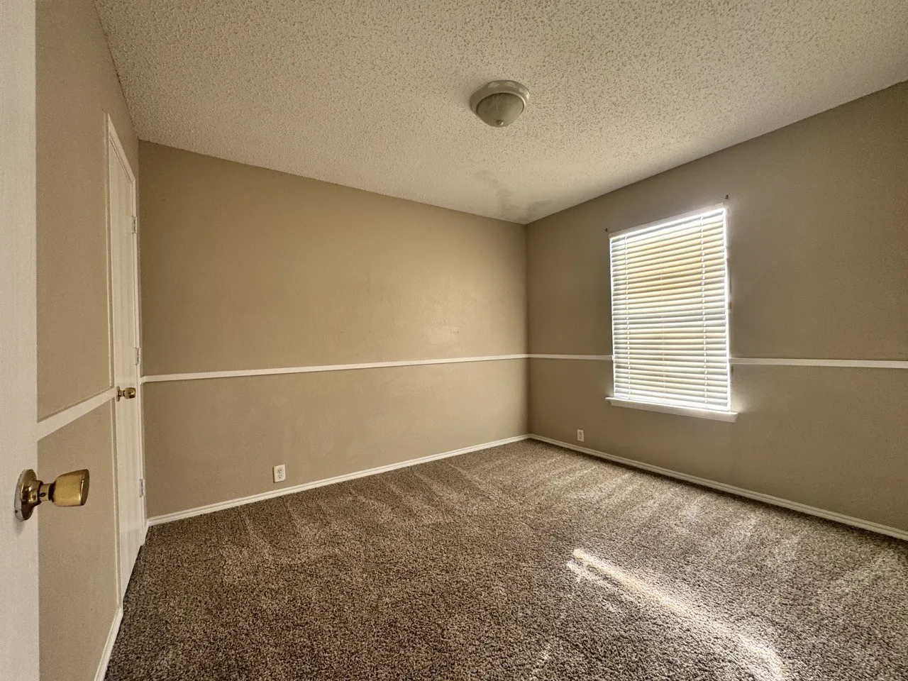 Carpeted flooring, neutral wall color, single window with blinds, ceiling-mounted light fixture, and crown molding
