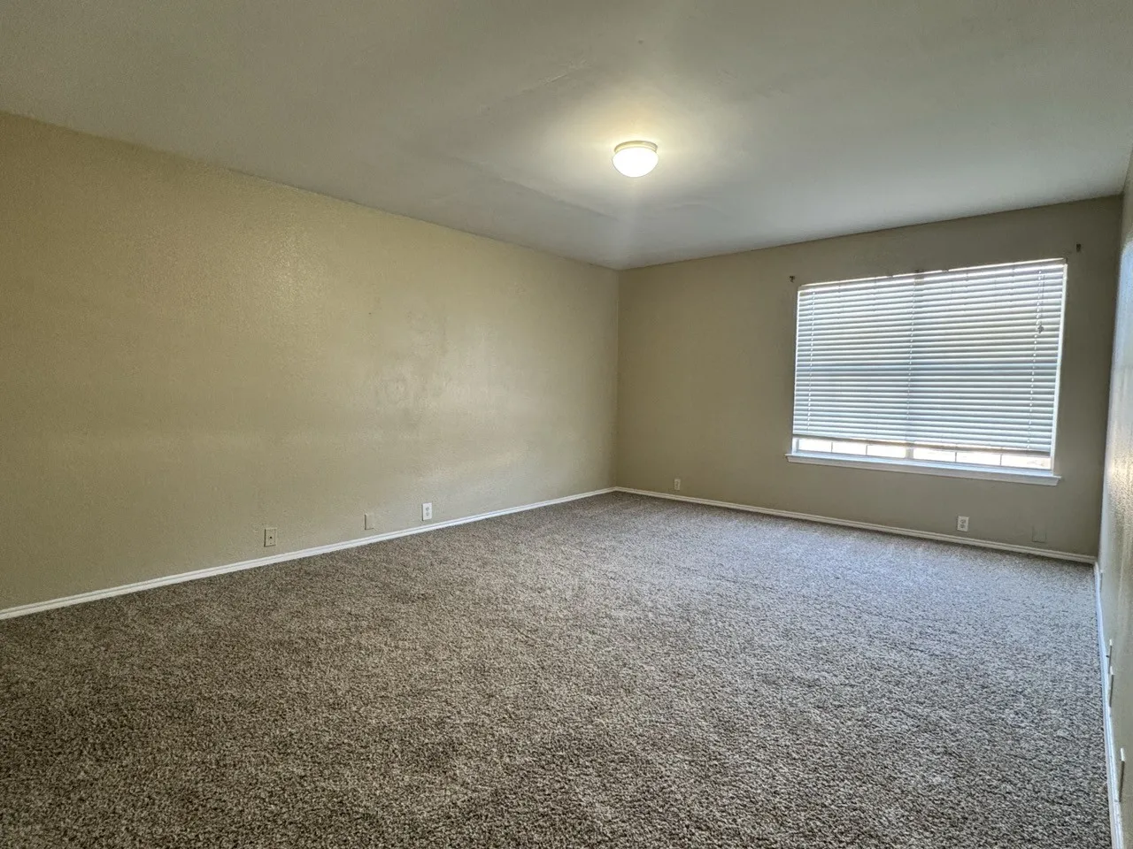 Carpeted flooring, neutral wall paint, overhead lighting, and a large window with blinds