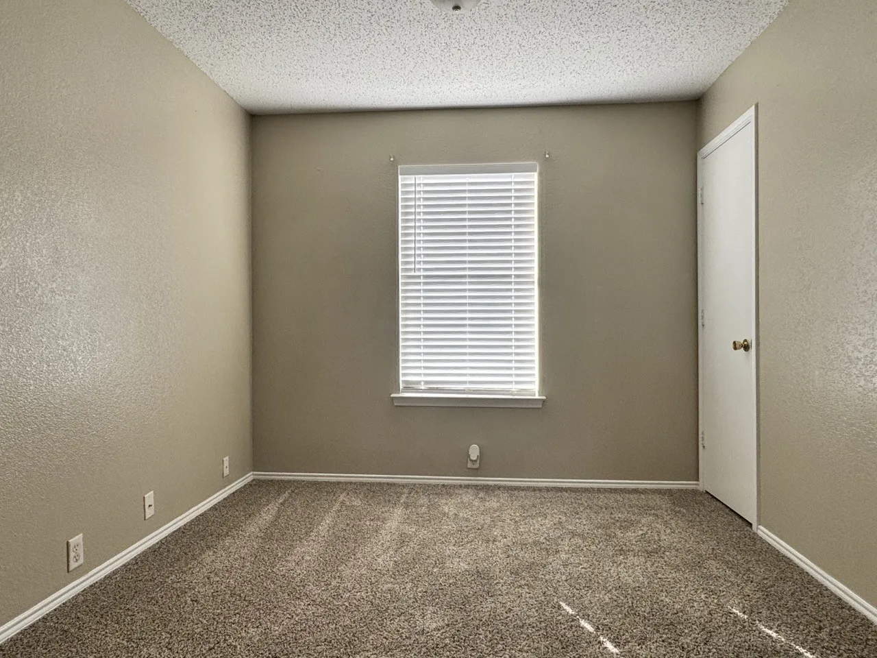 Carpeted flooring, neutral wall tones, window with horizontal blinds, textured ceiling, and a white interior door