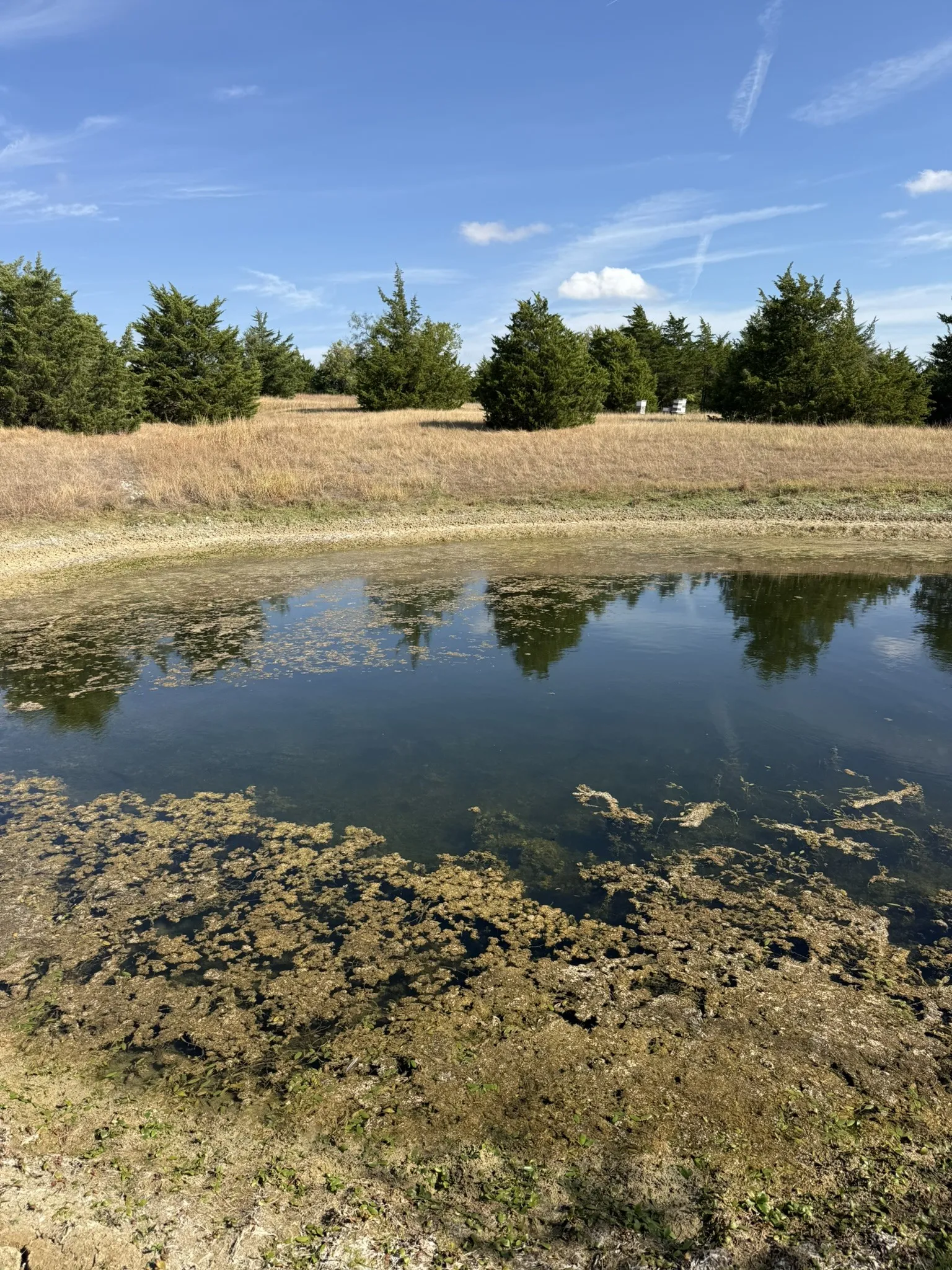 Unimproved Land For Sale in Ellis County , TBD 7 Palmyra, Palmer, Texas 75152, 0, 0, Garage spaces, 0 Sqft, built in 0, mls#21406686, Real Estate Agent in Palmer, Homes For Sale in Ellis county, Homes For Sale in Palmer, Realtor in Palmer Texas, Real Estate Brokerage Independent Realty Texas, Luminita Cordes Realtor