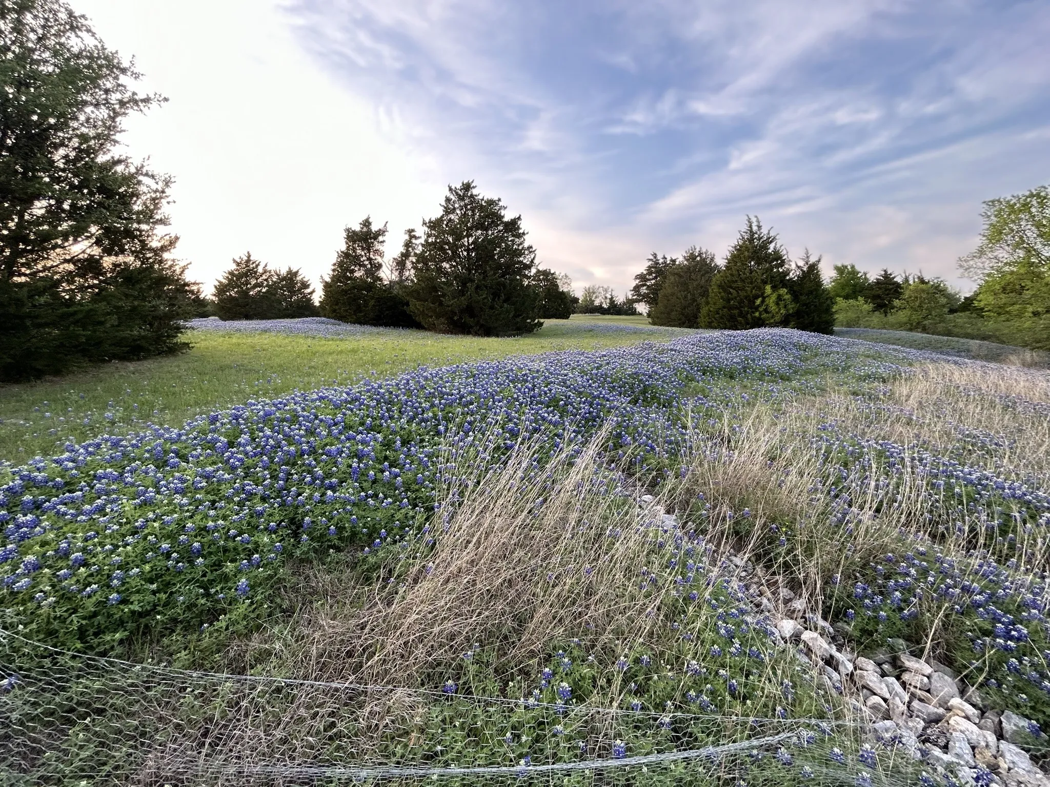 Unimproved Land For Sale in Ellis County , TBD 7 Palmyra, Palmer, Texas 75152, 0, 0, Garage spaces, 0 Sqft, built in 0, mls#21406686, Real Estate Agent in Palmer, Homes For Sale in Ellis county, Homes For Sale in Palmer, Realtor in Palmer Texas, Real Estate Brokerage Independent Realty Texas, Luminita Cordes Realtor