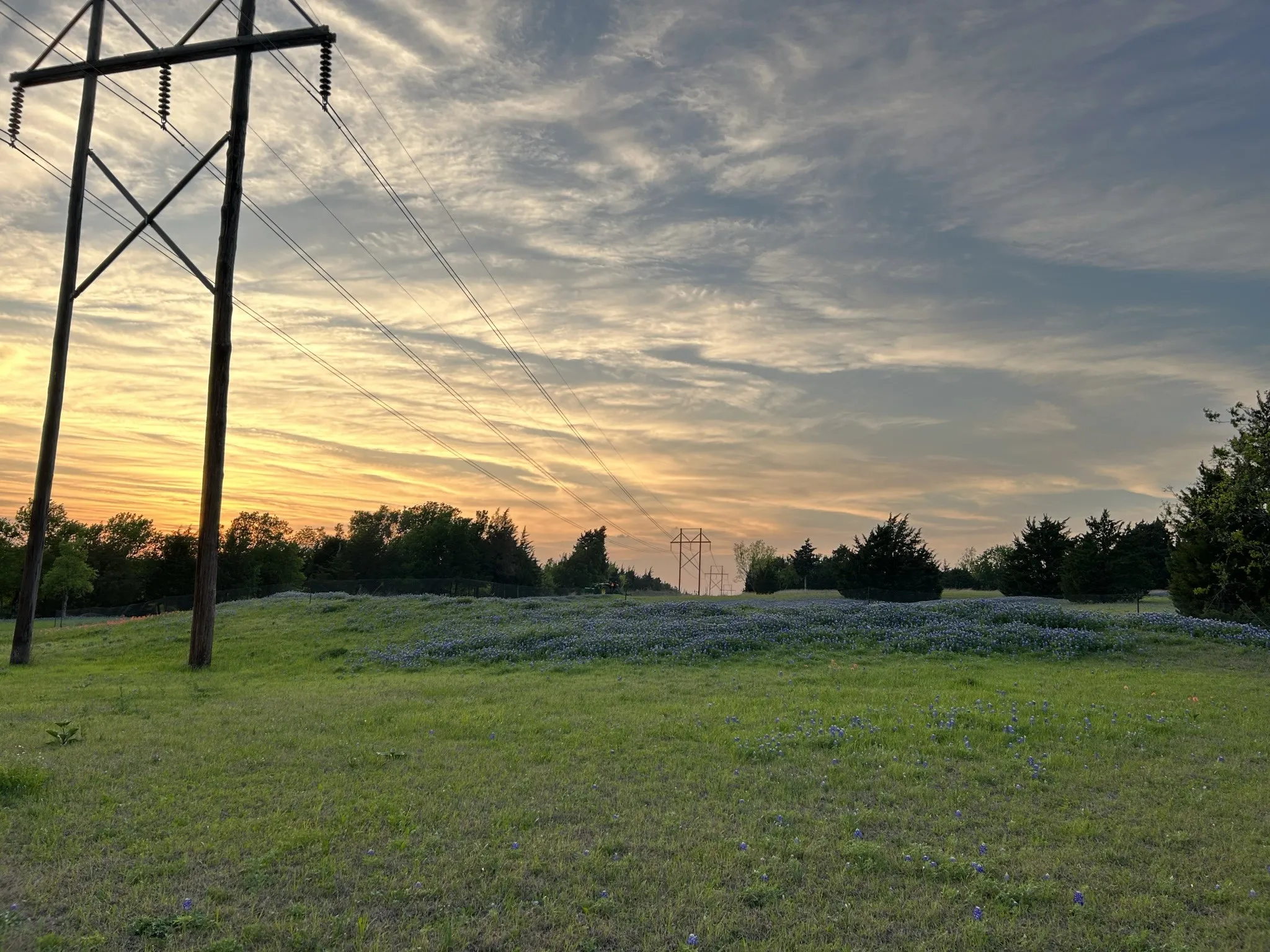 Unimproved Land For Sale in Ellis County , TBD 7 Palmyra, Palmer, Texas 75152, 0, 0, Garage spaces, 0 Sqft, built in 0, mls#21406686, Real Estate Agent in Palmer, Homes For Sale in Ellis county, Homes For Sale in Palmer, Realtor in Palmer Texas, Real Estate Brokerage Independent Realty Texas, Luminita Cordes Realtor