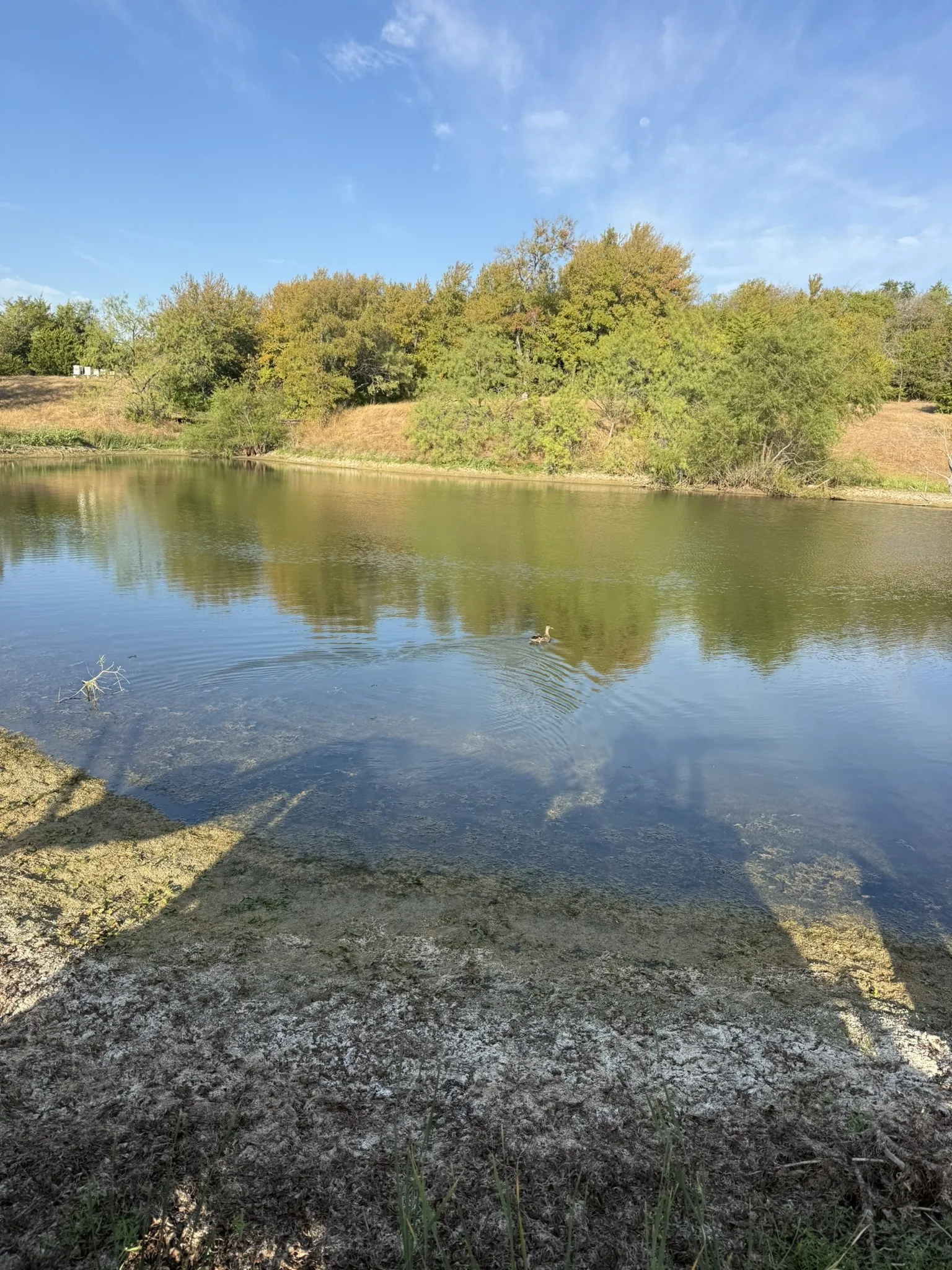 Unimproved Land For Sale in Ellis County , TBD 7 Palmyra, Palmer, Texas 75152, 0, 0, Garage spaces, 0 Sqft, built in 0, mls#21406686, Real Estate Agent in Palmer, Homes For Sale in Ellis county, Homes For Sale in Palmer, Realtor in Palmer Texas, Real Estate Brokerage Independent Realty Texas, Luminita Cordes Realtor