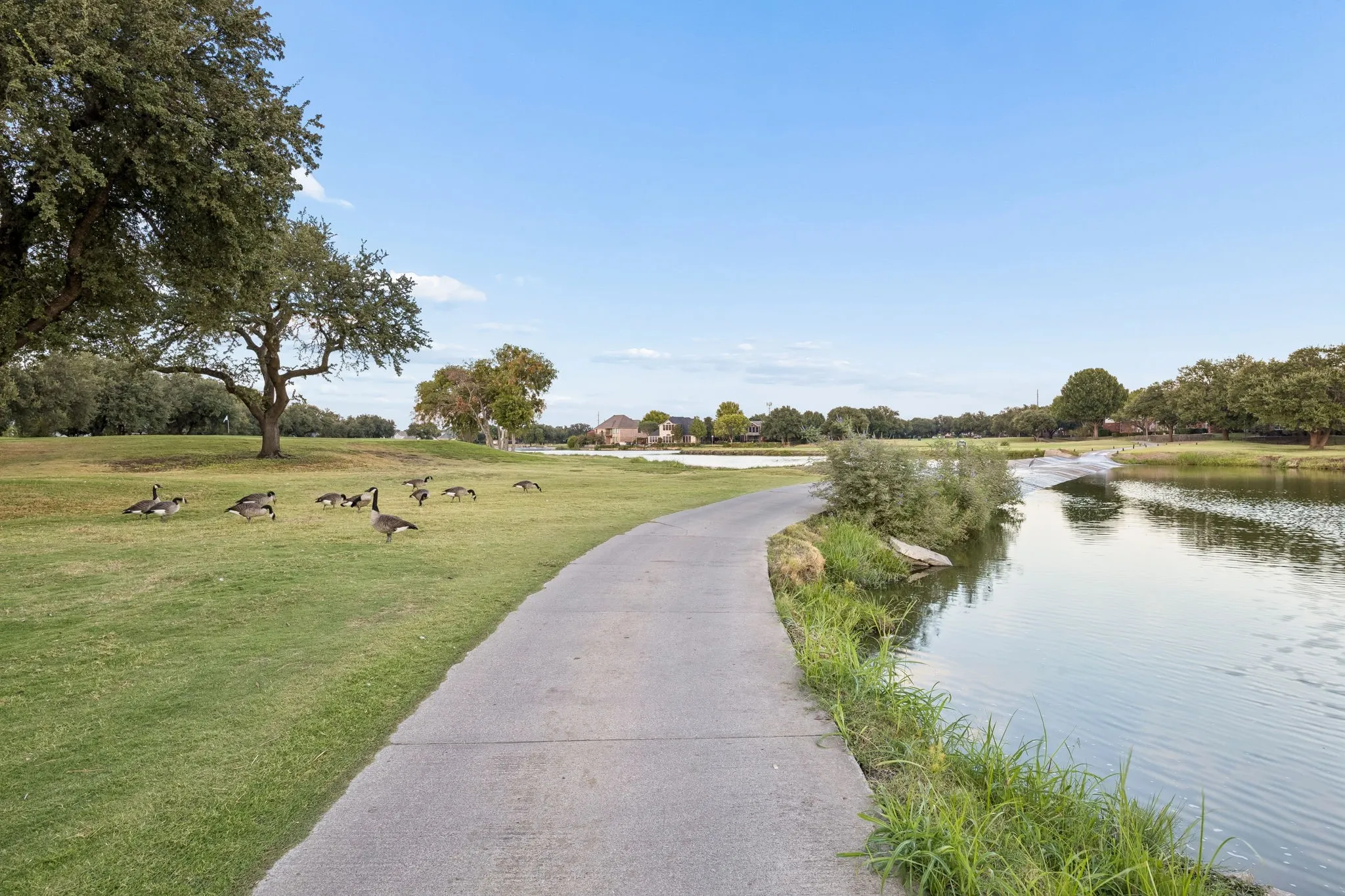Single Family Residence For Sale in Collin County , 5113 Promise Land Drive, Frisco, Texas 75035, 5 Bedroom, 3 Bathroom, 2 Garage spaces, 3,027 Sqft, built in 1992, mls#21392674, Real Estate Agent in Frisco, Homes For Sale in Collin county, Homes For Sale in Frisco, Realtor in Frisco Texas, Real Estate Brokerage Independent Realty Texas, Luminita Cordes Realtor