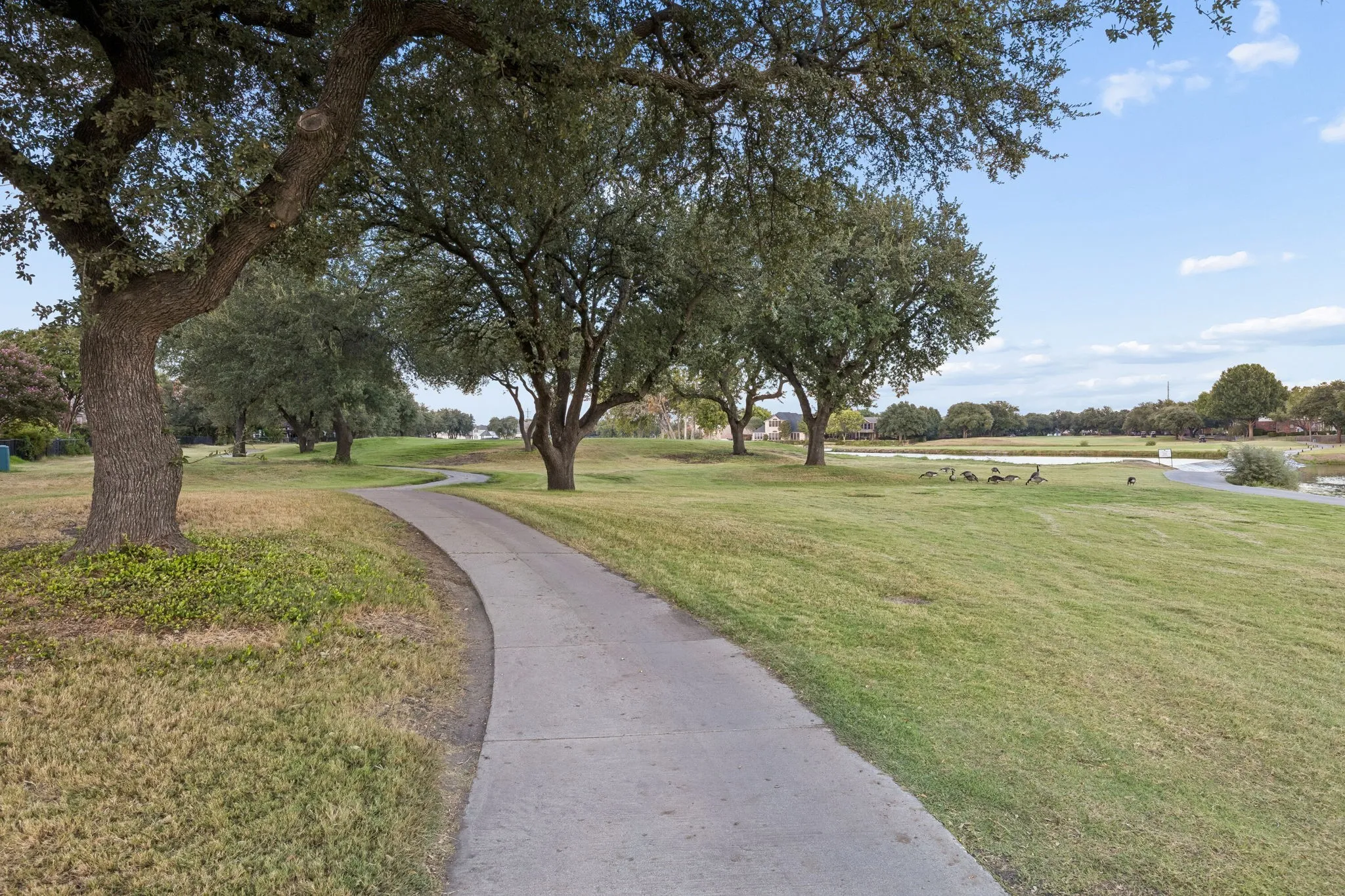 Single Family Residence For Sale in Collin County , 5113 Promise Land Drive, Frisco, Texas 75035, 5 Bedroom, 3 Bathroom, 2 Garage spaces, 3,027 Sqft, built in 1992, mls#21392674, Real Estate Agent in Frisco, Homes For Sale in Collin county, Homes For Sale in Frisco, Realtor in Frisco Texas, Real Estate Brokerage Independent Realty Texas, Luminita Cordes Realtor