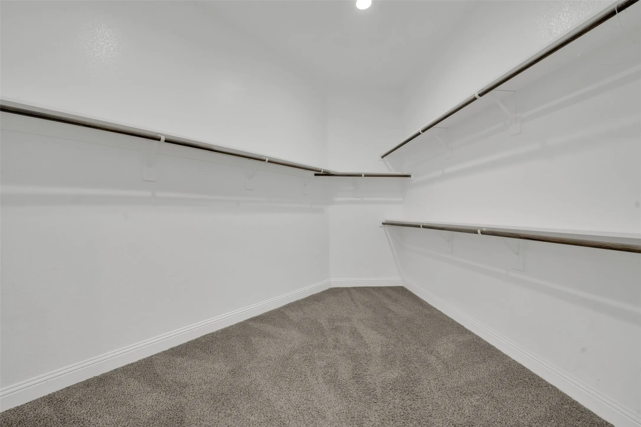 Wall-to-wall carpeting with baseboard trim, white painted walls, and built-in shelving with hanging rods