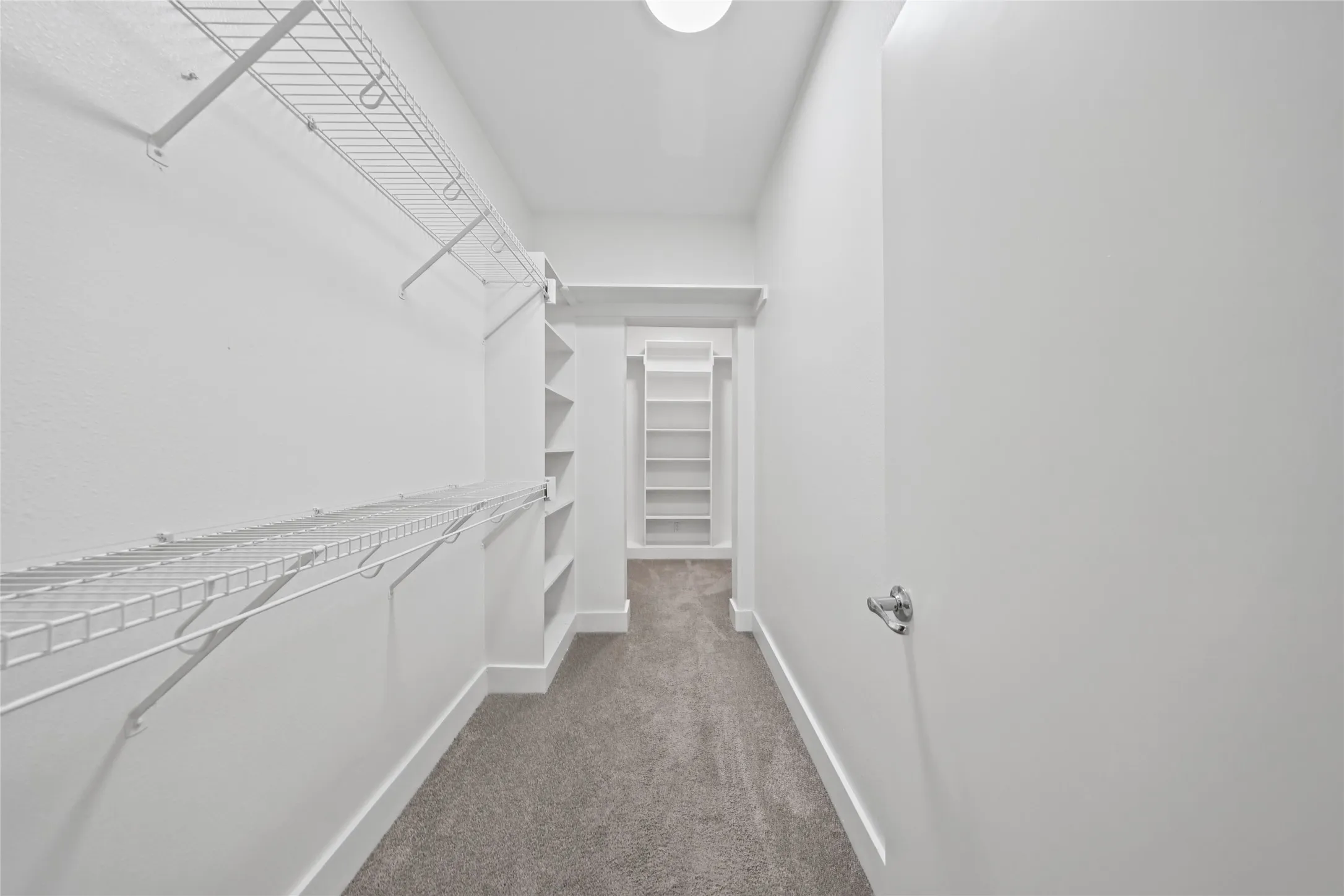 Carpeted closet with wire shelving, built-in shelving units, and a flush mount light fixture
